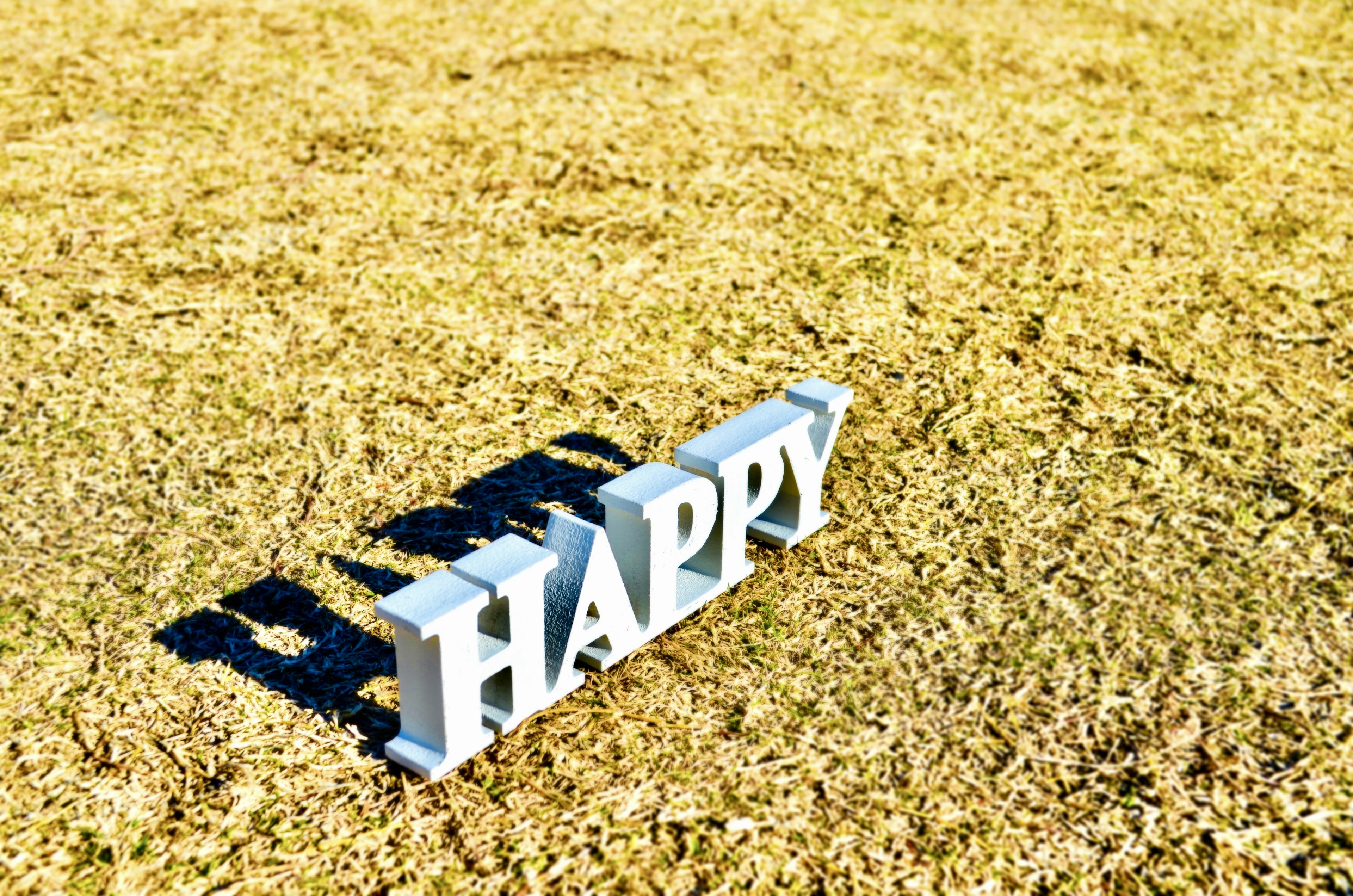 Three-dimensional white letters spelling HAPPY on a grassy surface