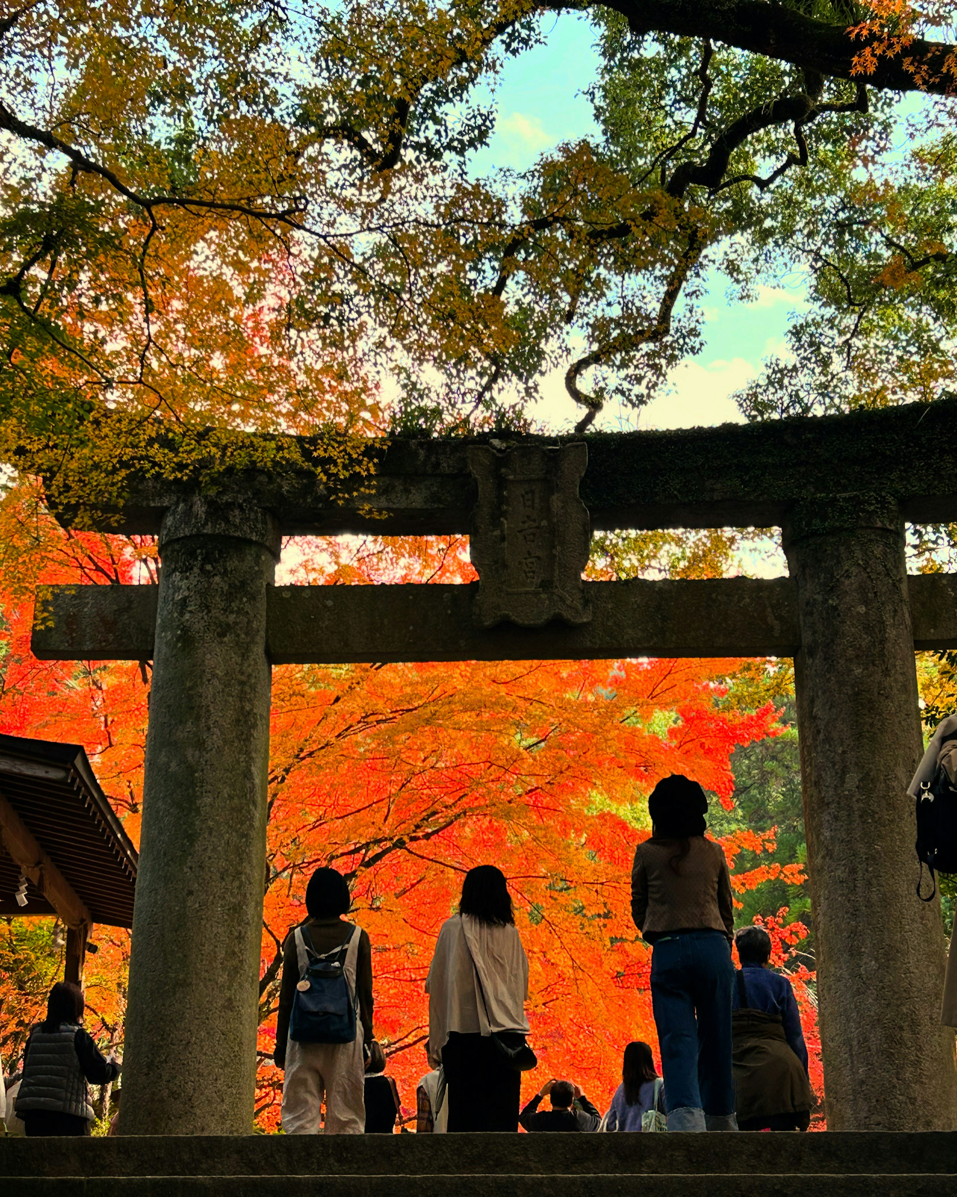 Torii-Tor umgeben von lebhaftem Herbstlaub mit Besuchern