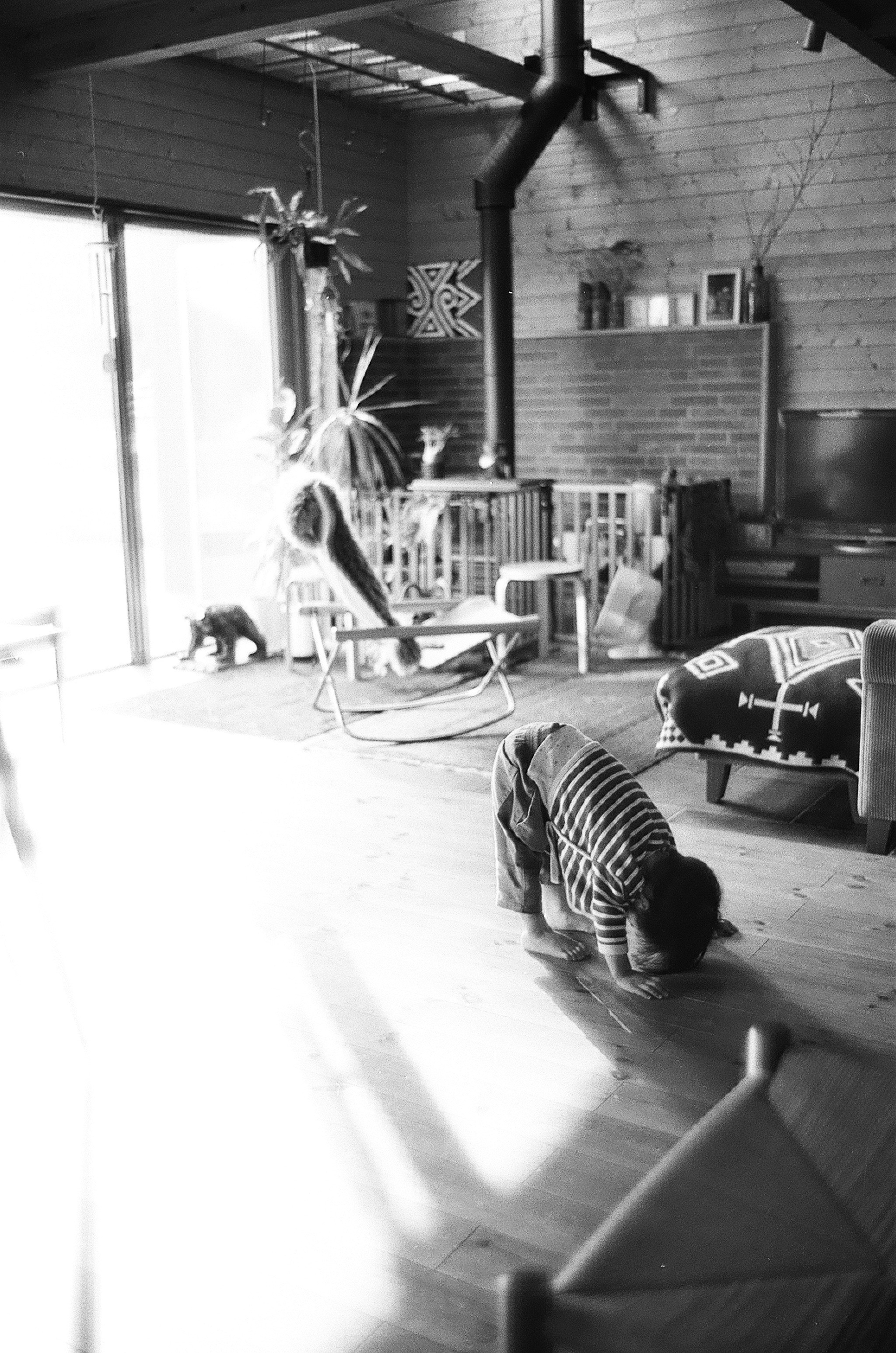 Black and white interior scene featuring a child on the floor and a cat natural light from large window