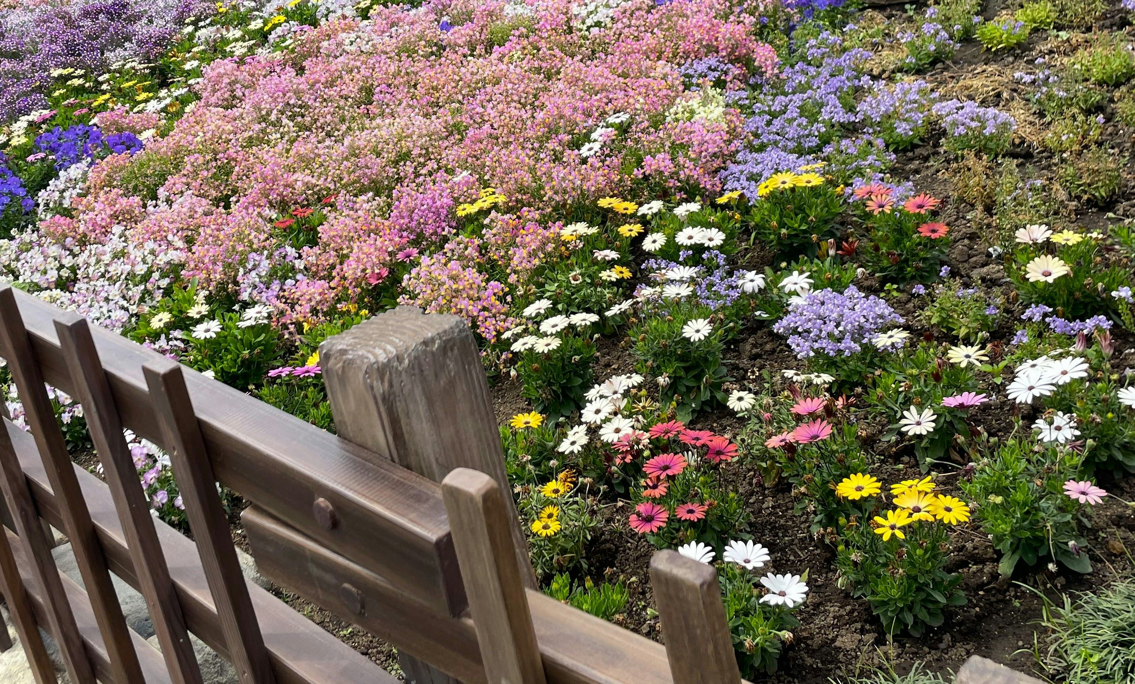 色とりどりの花々が咲く庭の風景と木製のフェンス