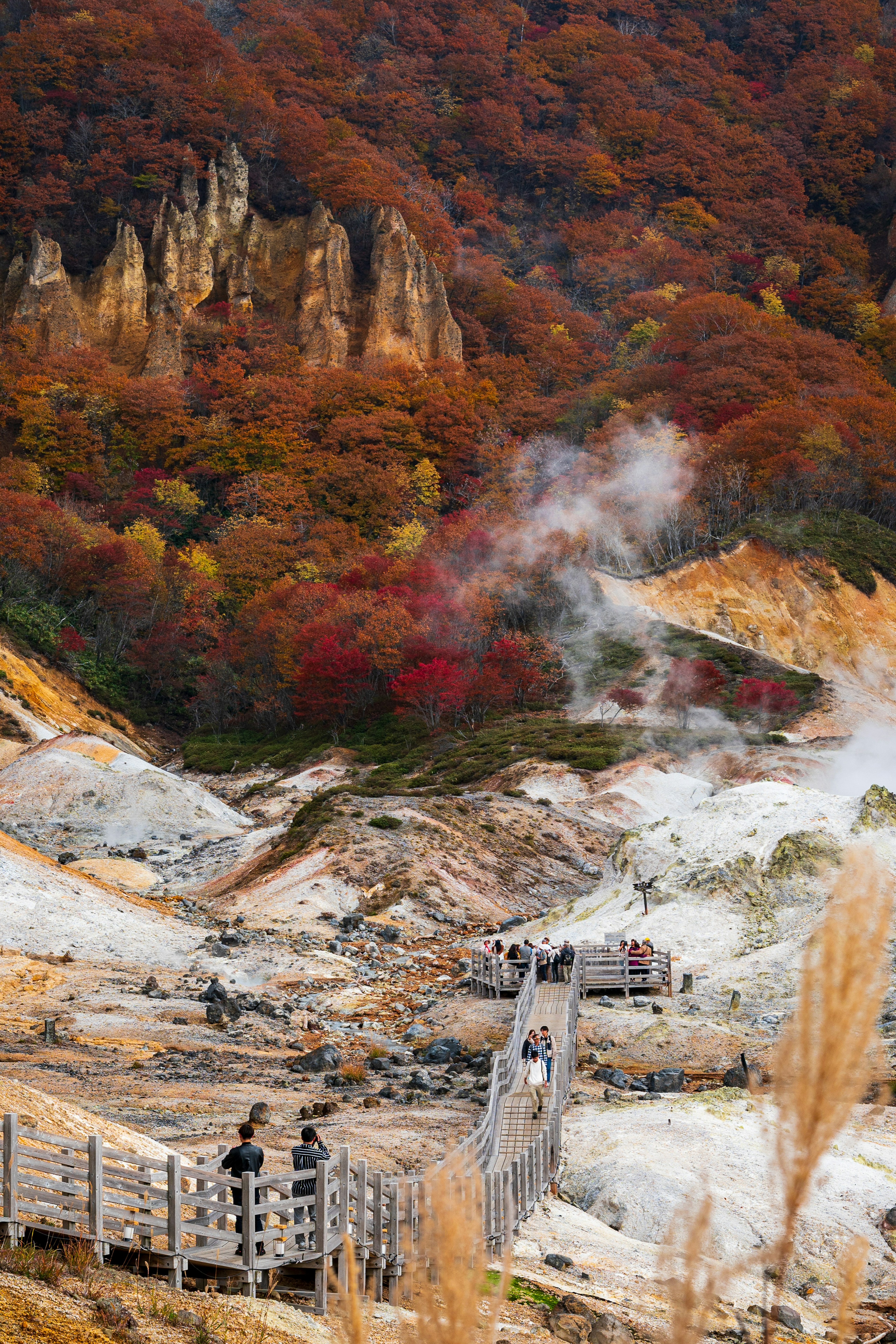 色とりどりの秋の木々に囲まれた温泉地の風景 蒸気が立ち上る火山の地形