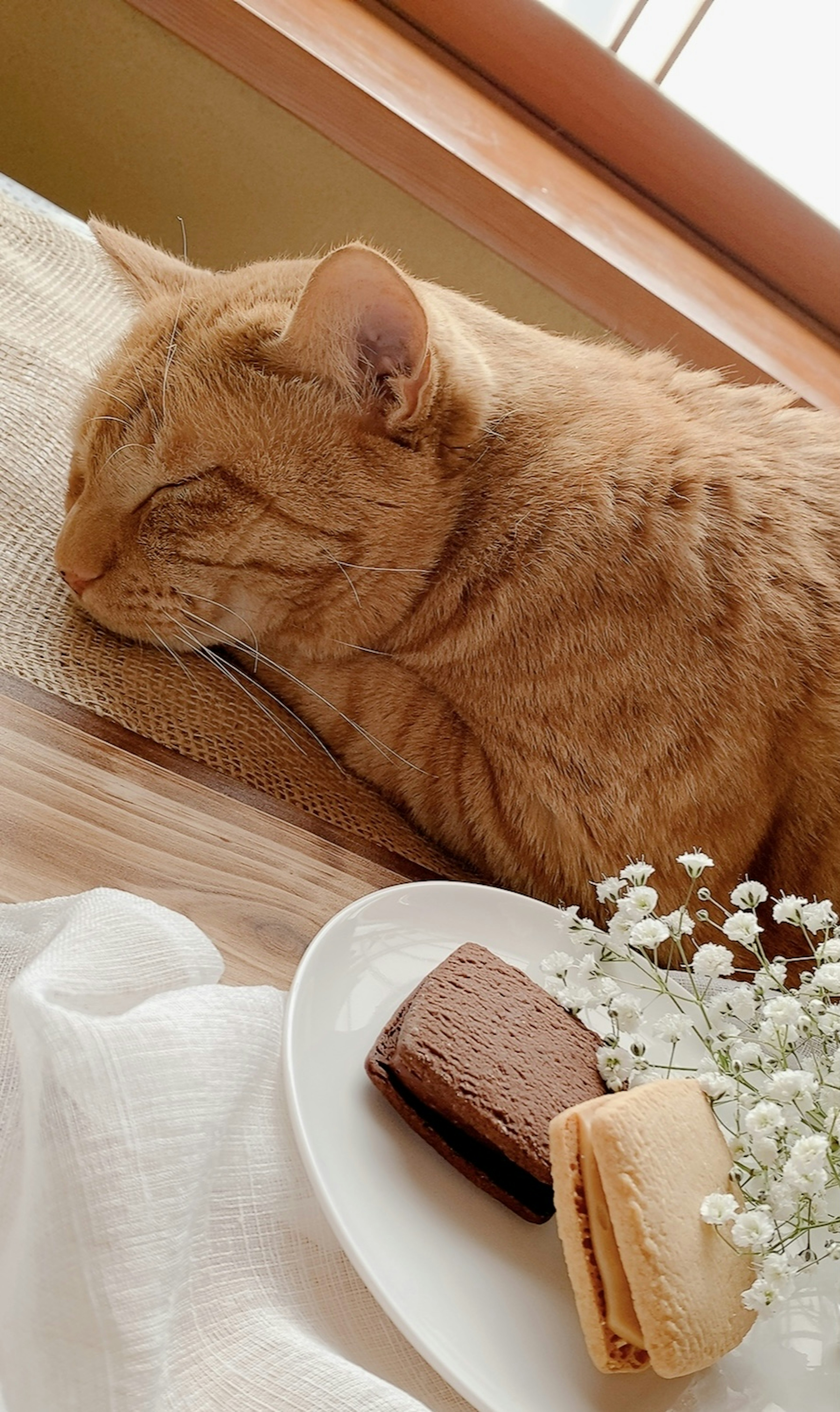 Eine orangefarbene Katze schläft auf einem Holztisch mit Gebäck und Blumen