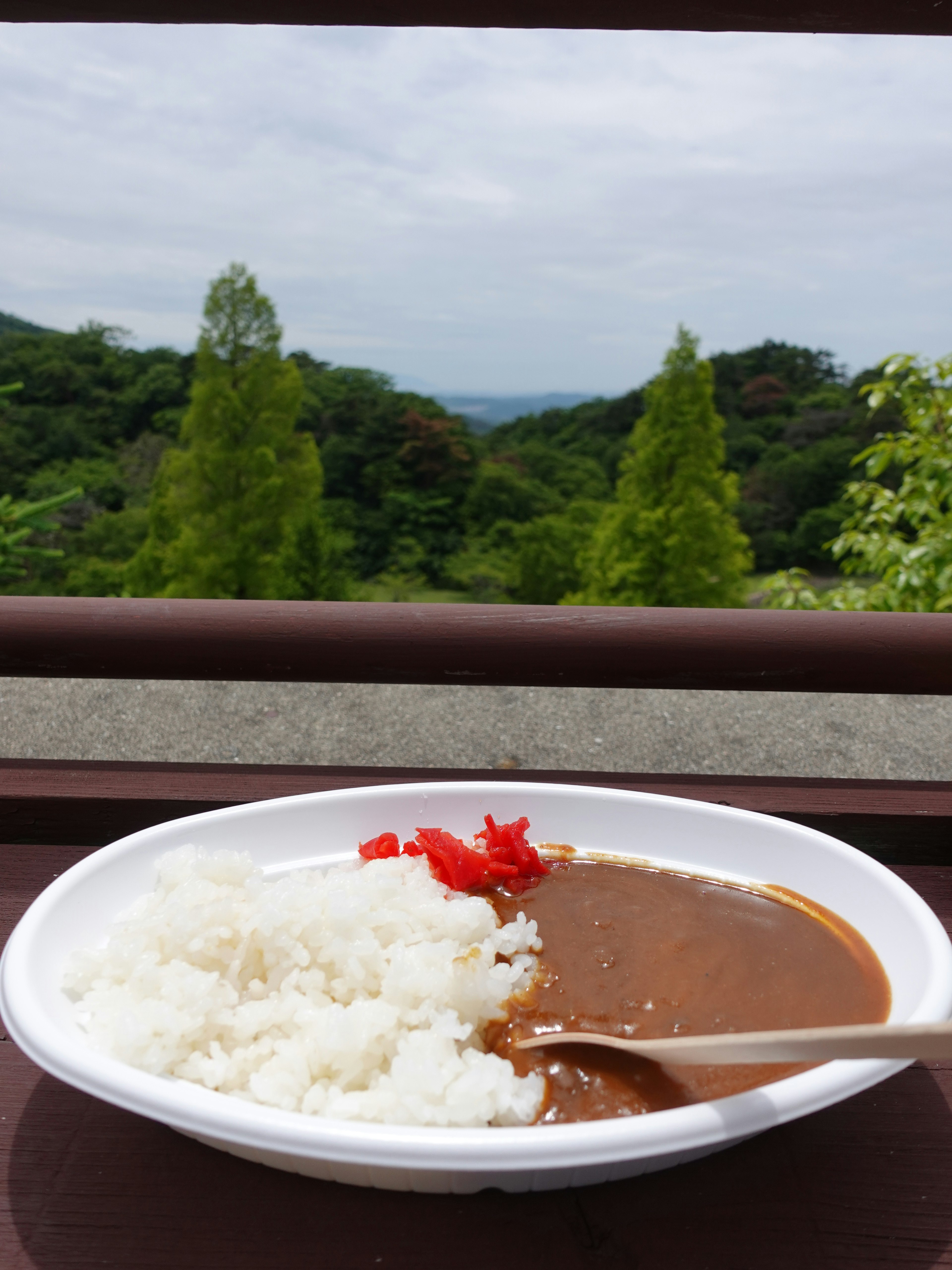 美しい風景を背景にしたカレーライスの皿