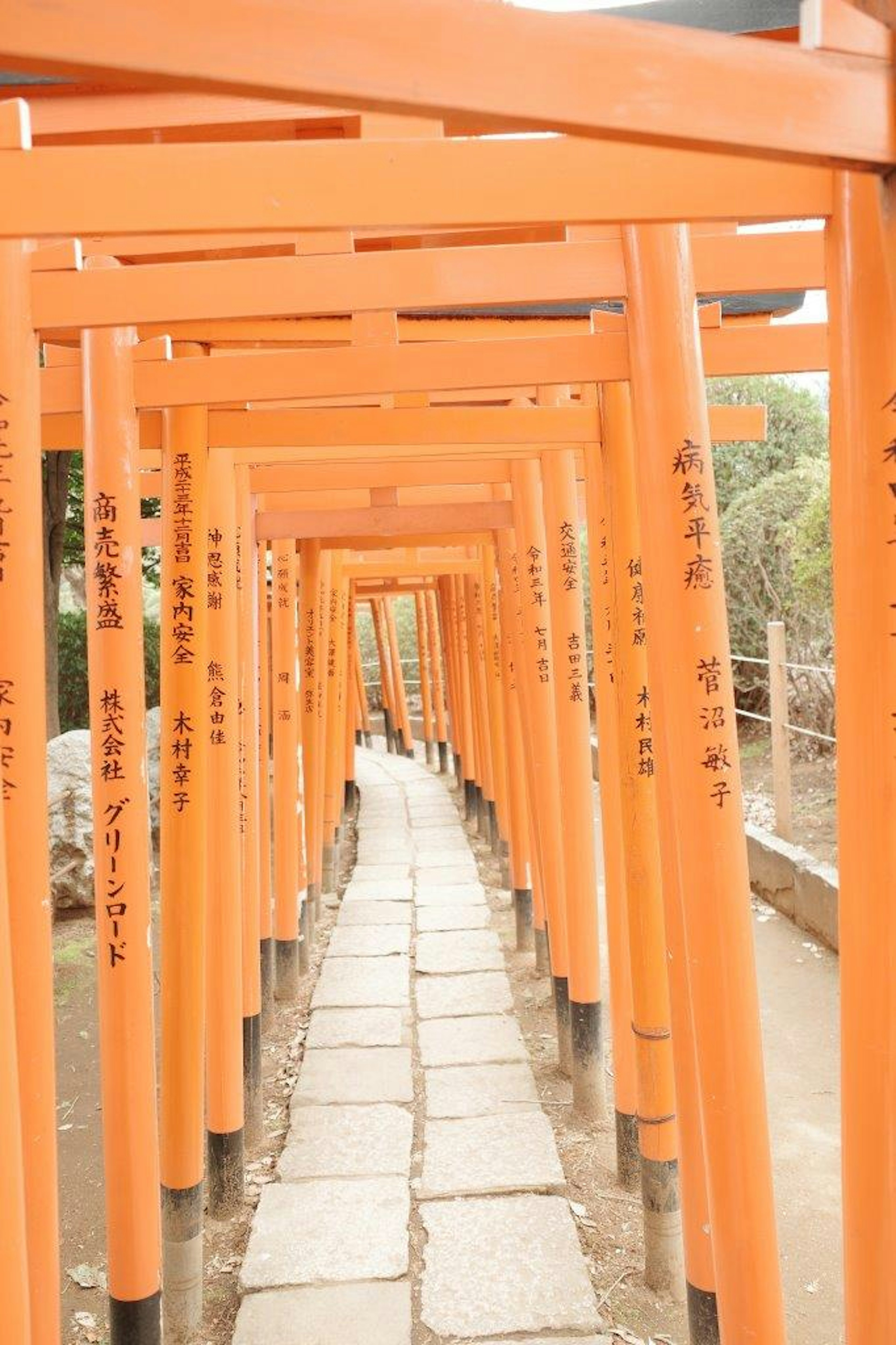 鮮やかなオレンジ色の鳥居が並ぶ道の風景