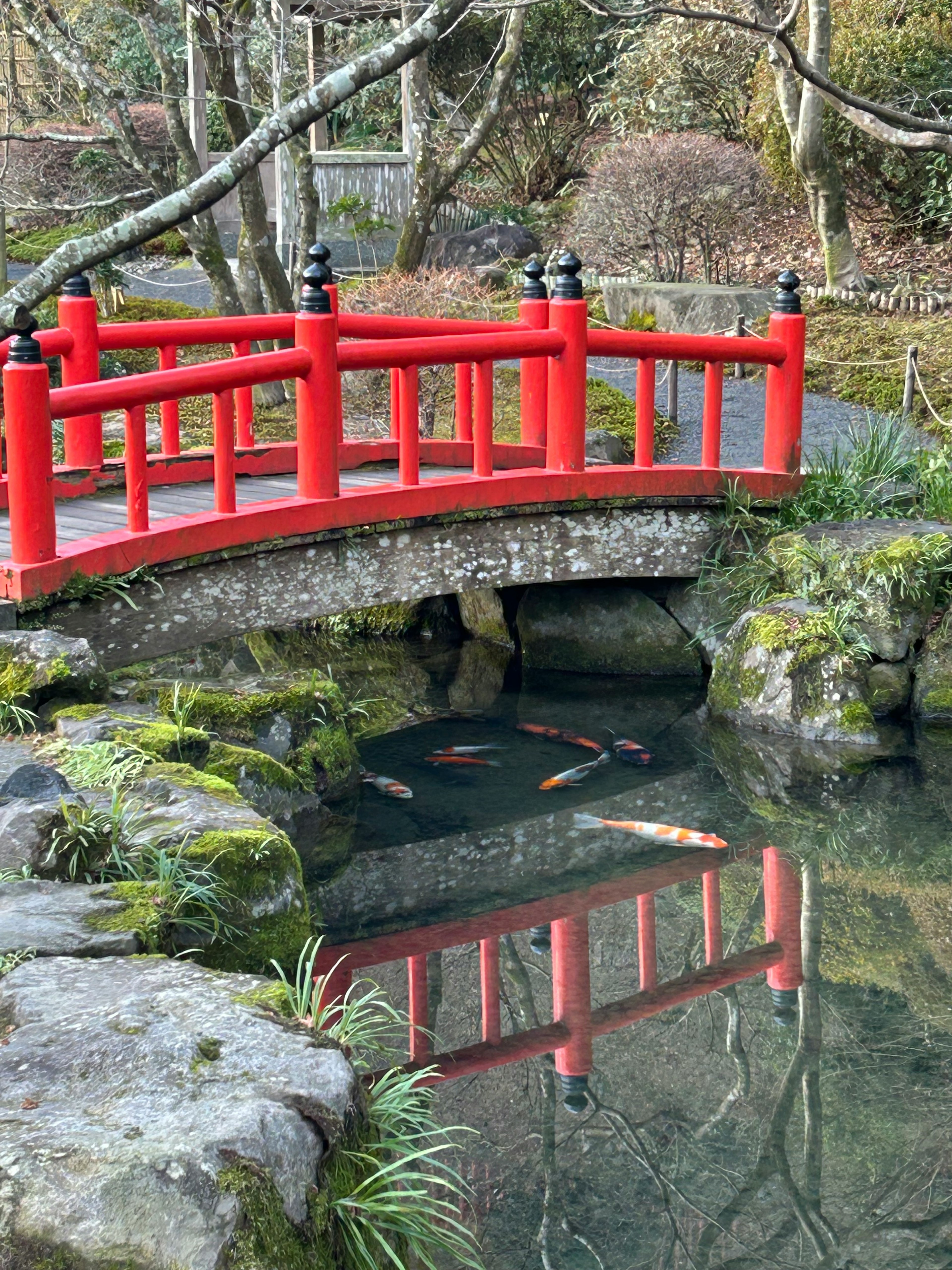 赤い橋が水面に映る美しい日本庭園の風景