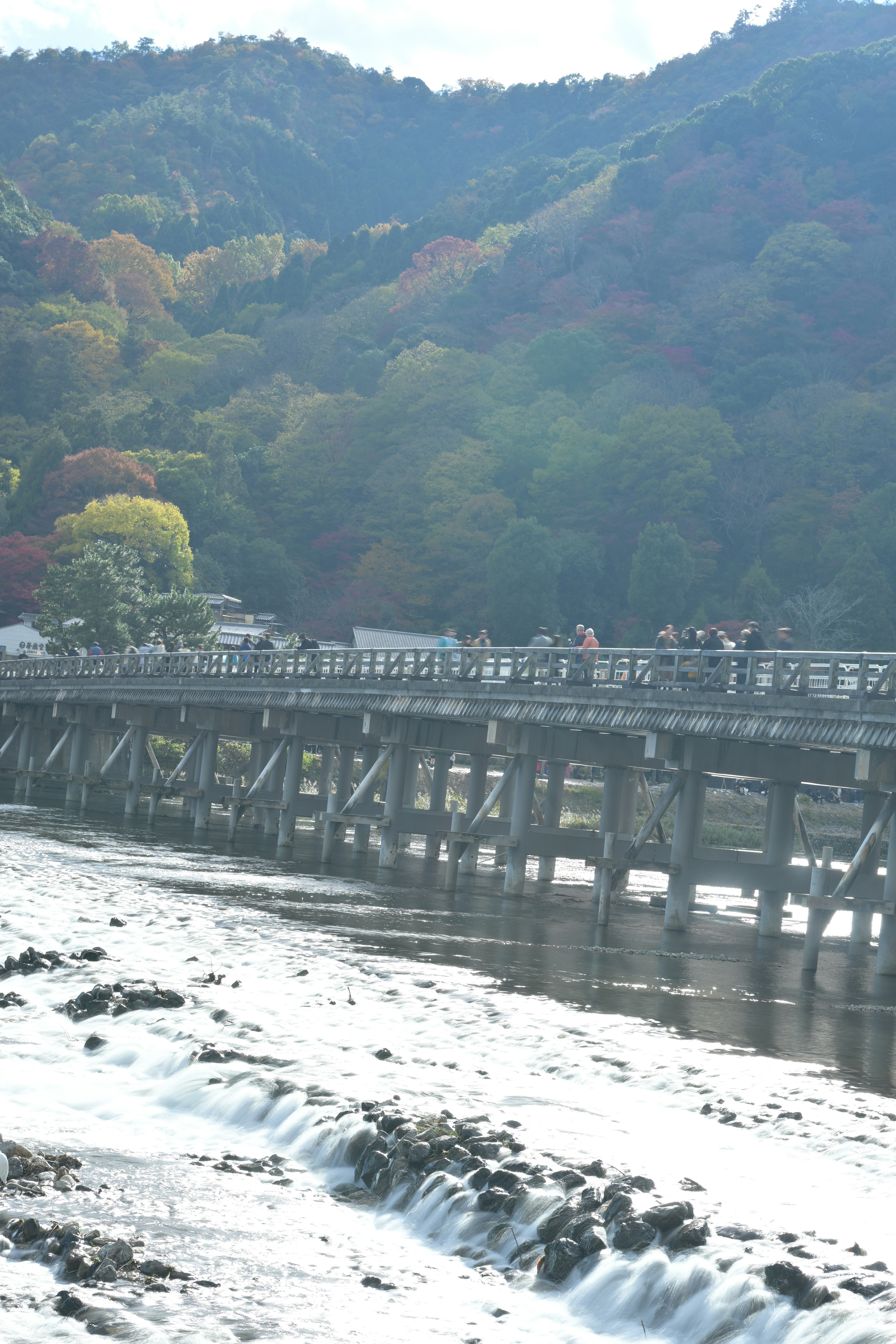 美しい山々と川の橋の風景で、秋の色彩が見られる