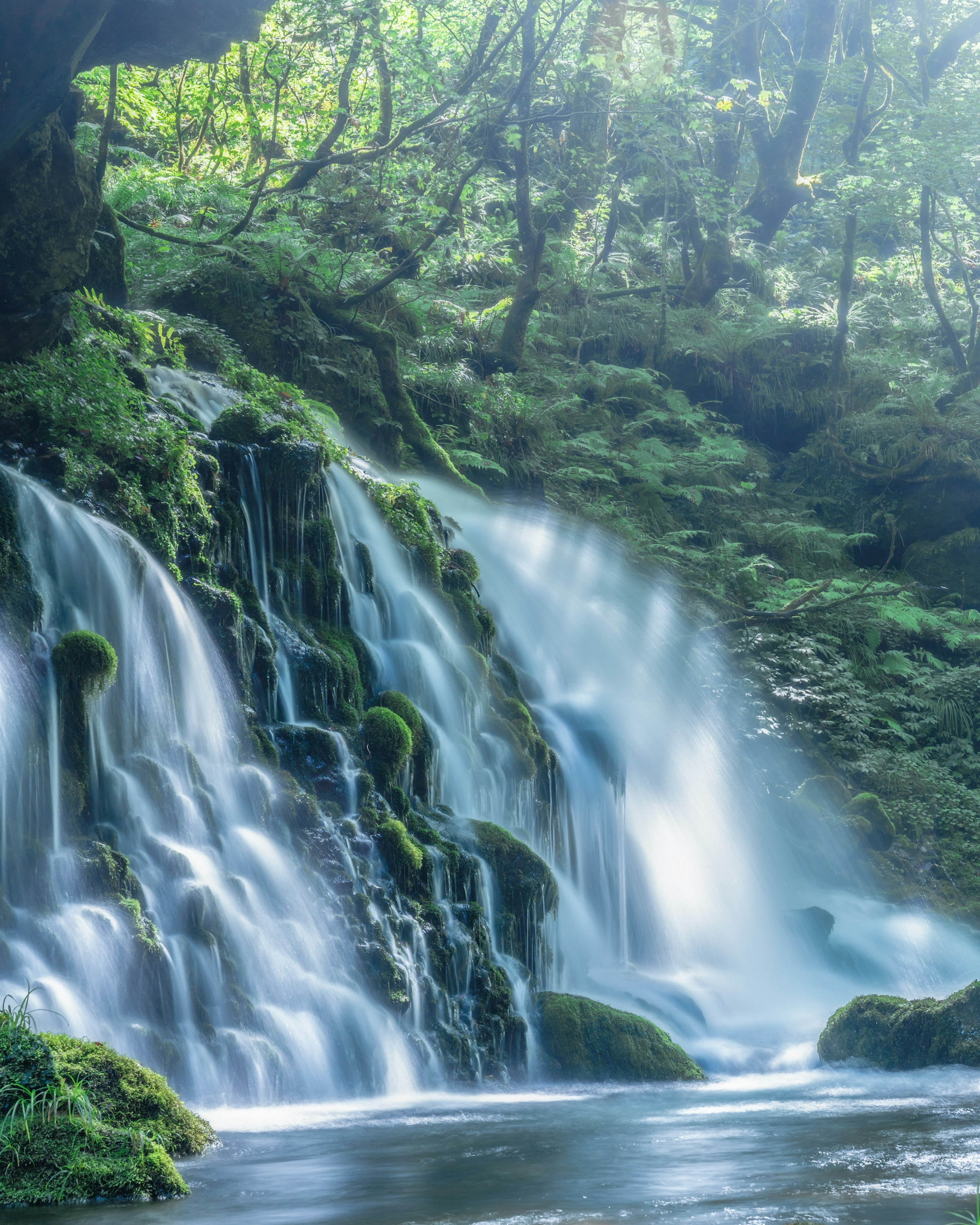 緑豊かな森に囲まれた美しい滝の風景