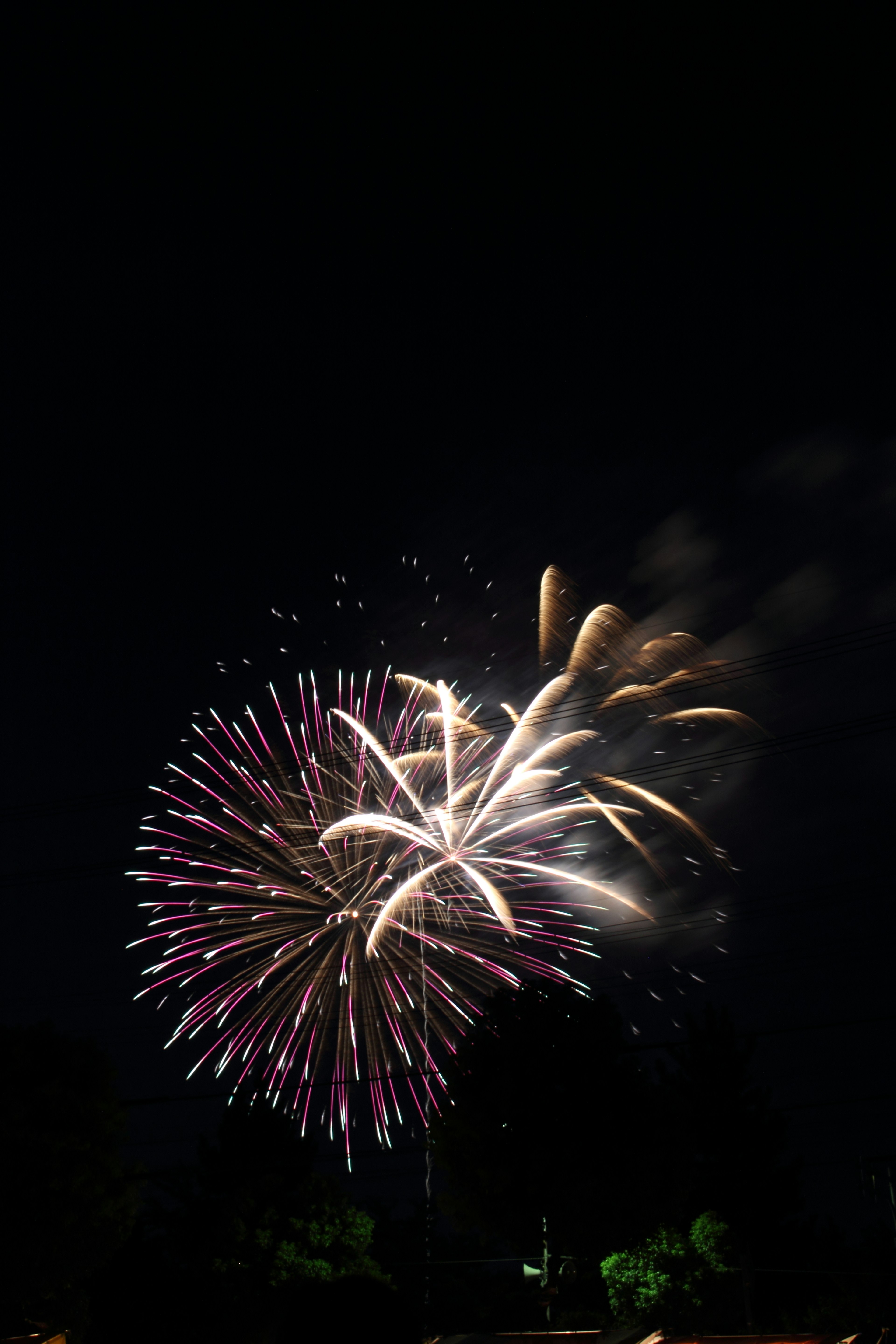 Spectacle de feux d'artifice colorés dans le ciel nocturne