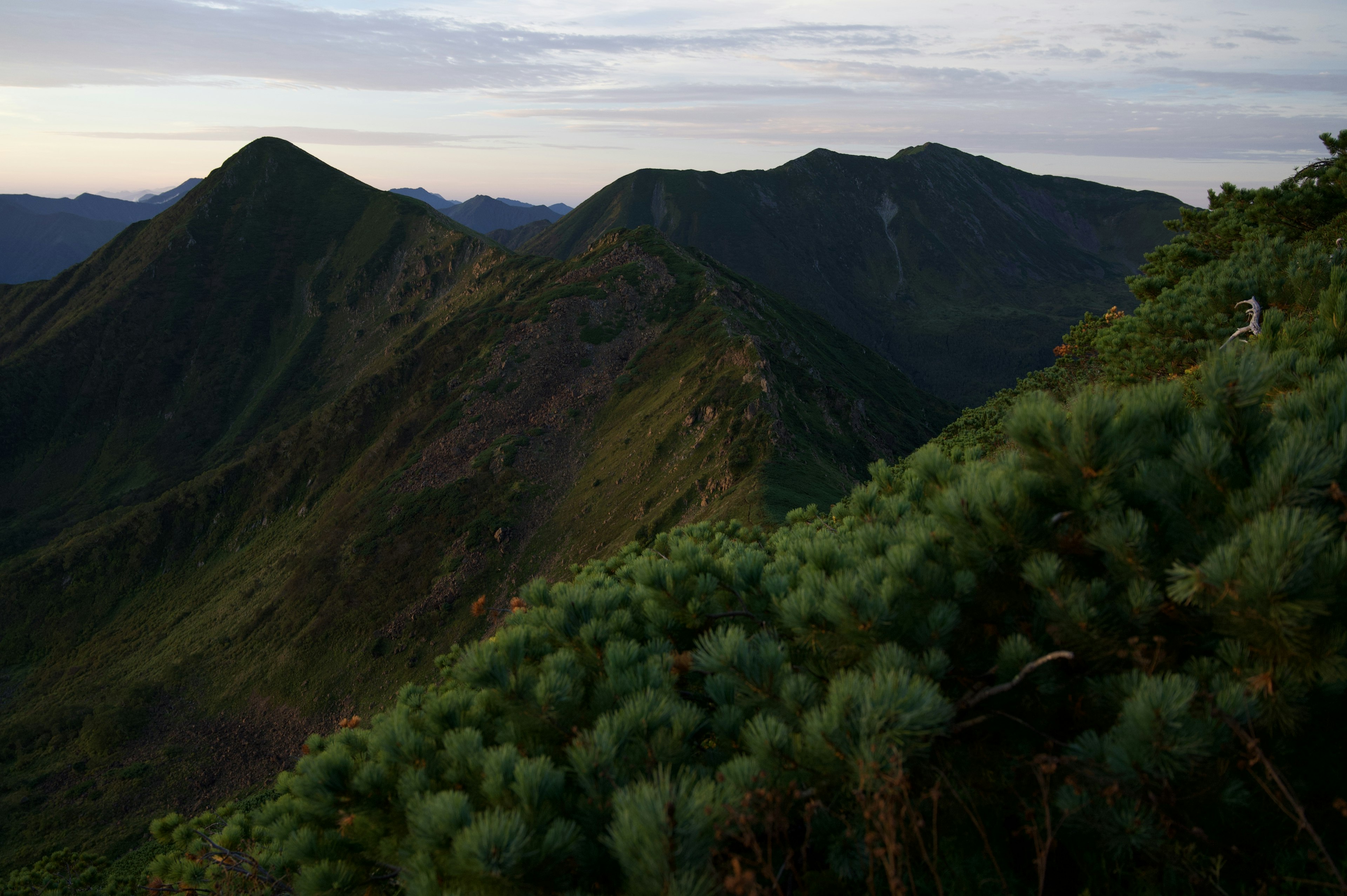 山脈和郁郁蔥蔥的綠色植物的風景