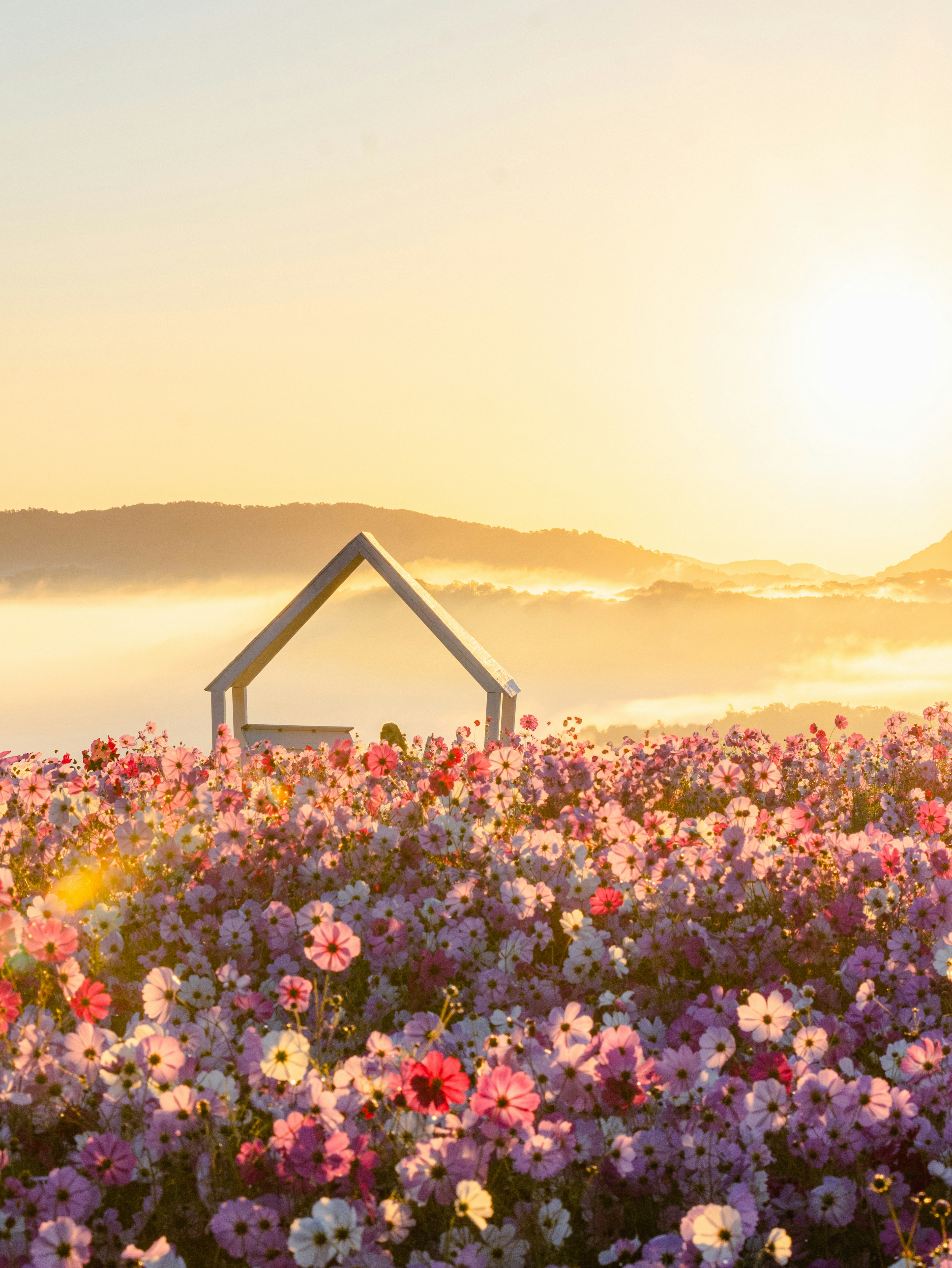 花畑の中にある家の形をした構造物と朝日