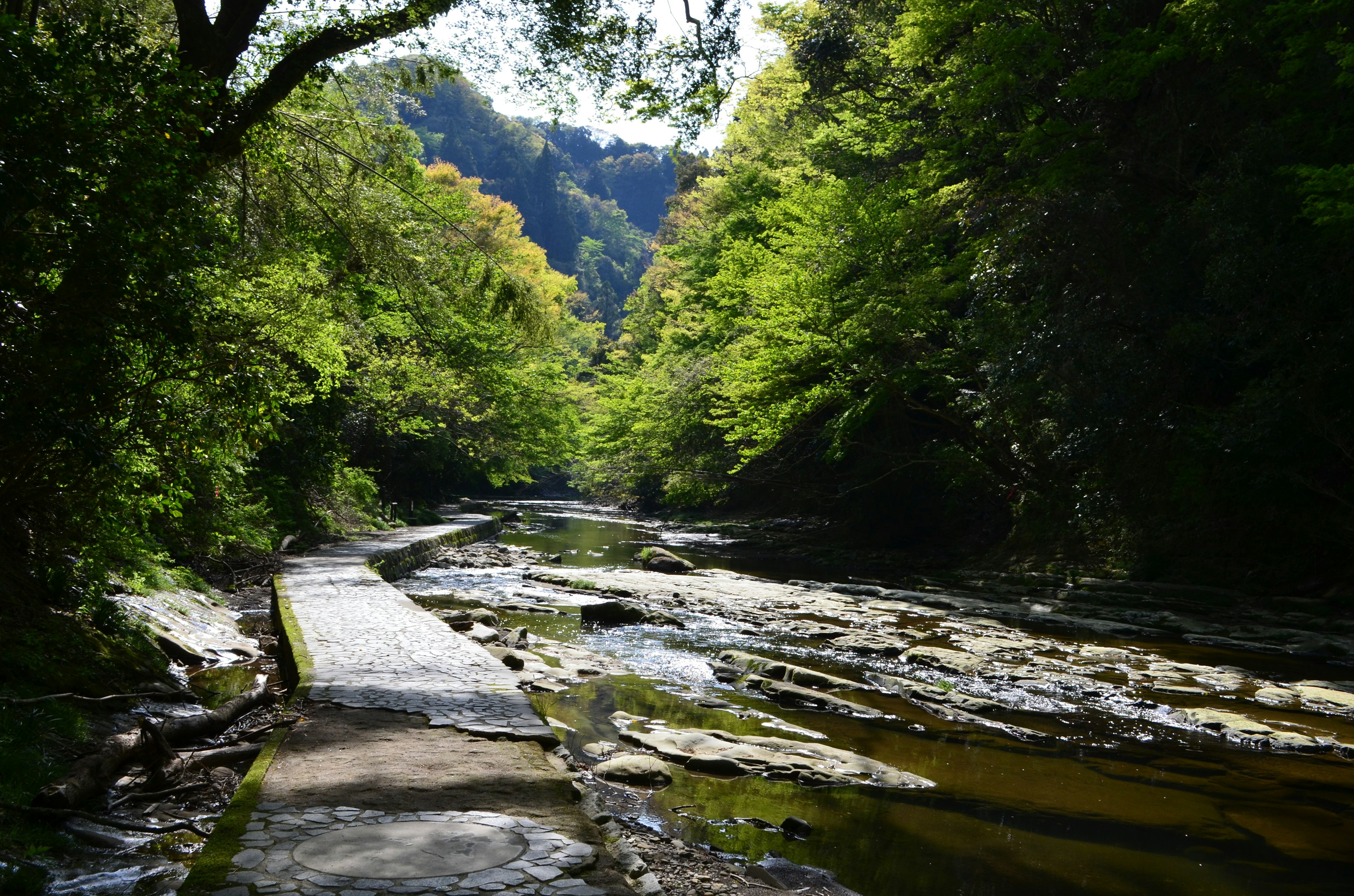 Un tranquillo torrente con un sentiero roccioso circondato da vegetazione lussureggiante