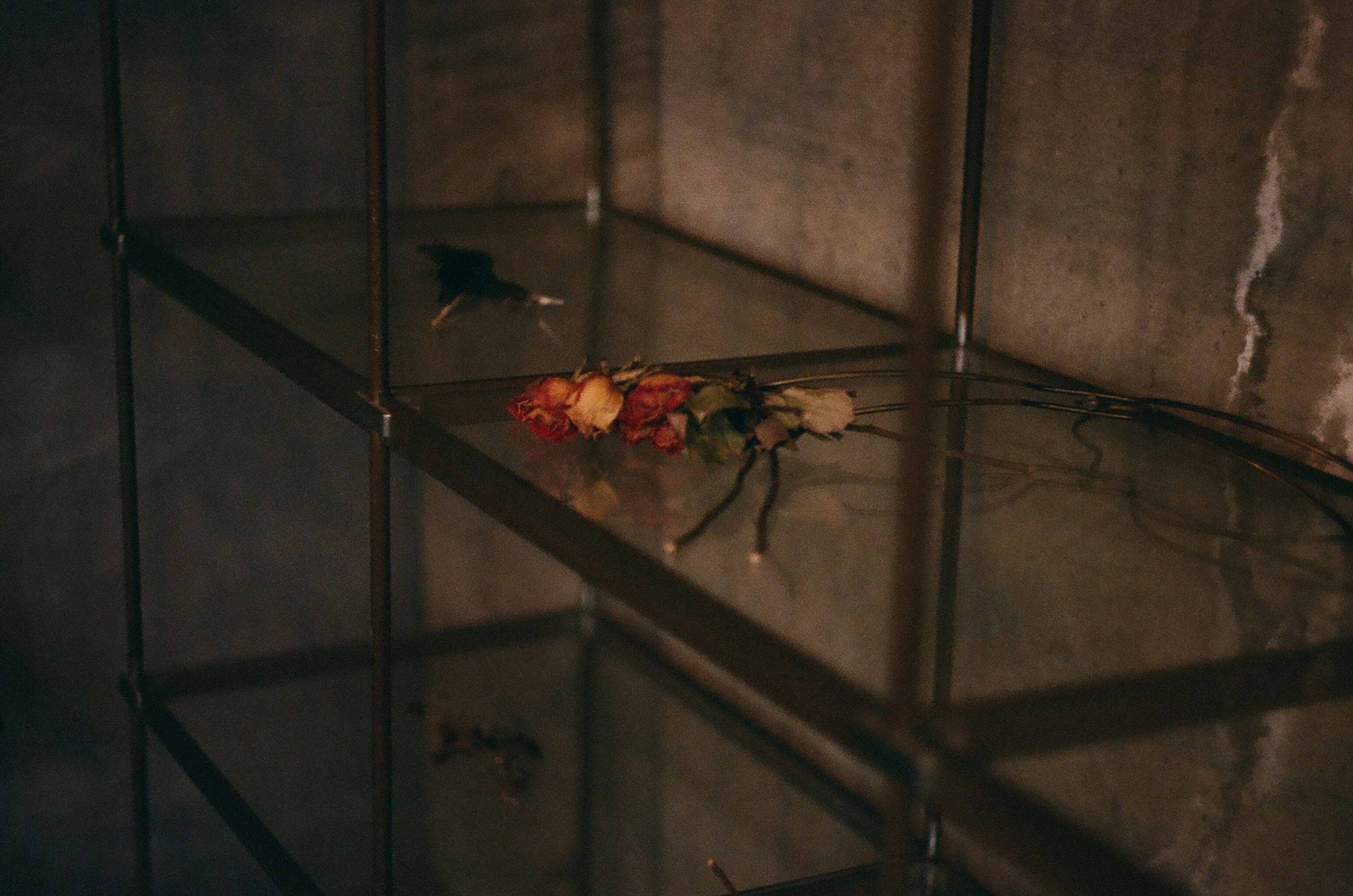 Fleurs colorées et un petit objet noir sur une étagère transparente