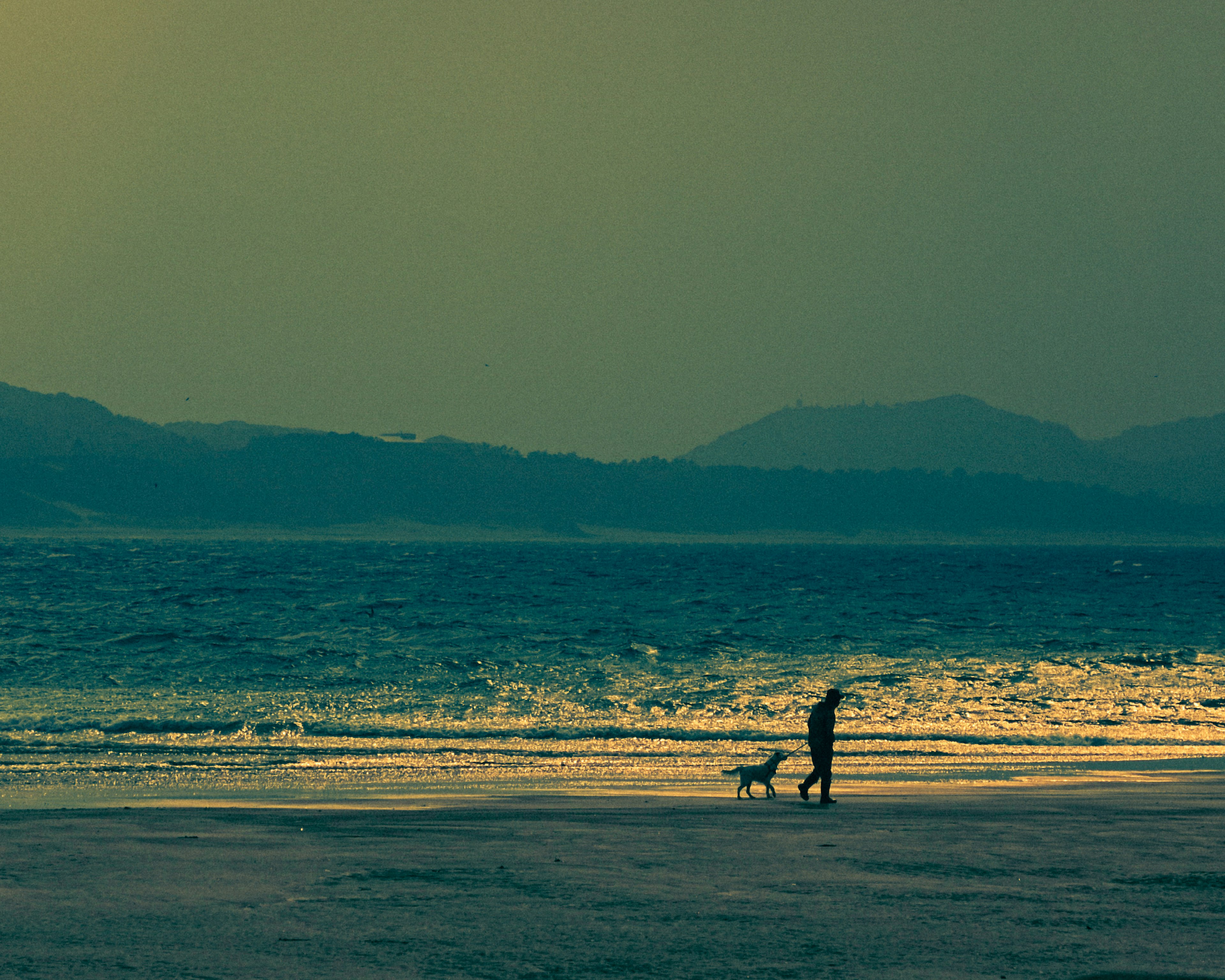 Silhouette einer Person, die mit einem Hund am Strand spaziert