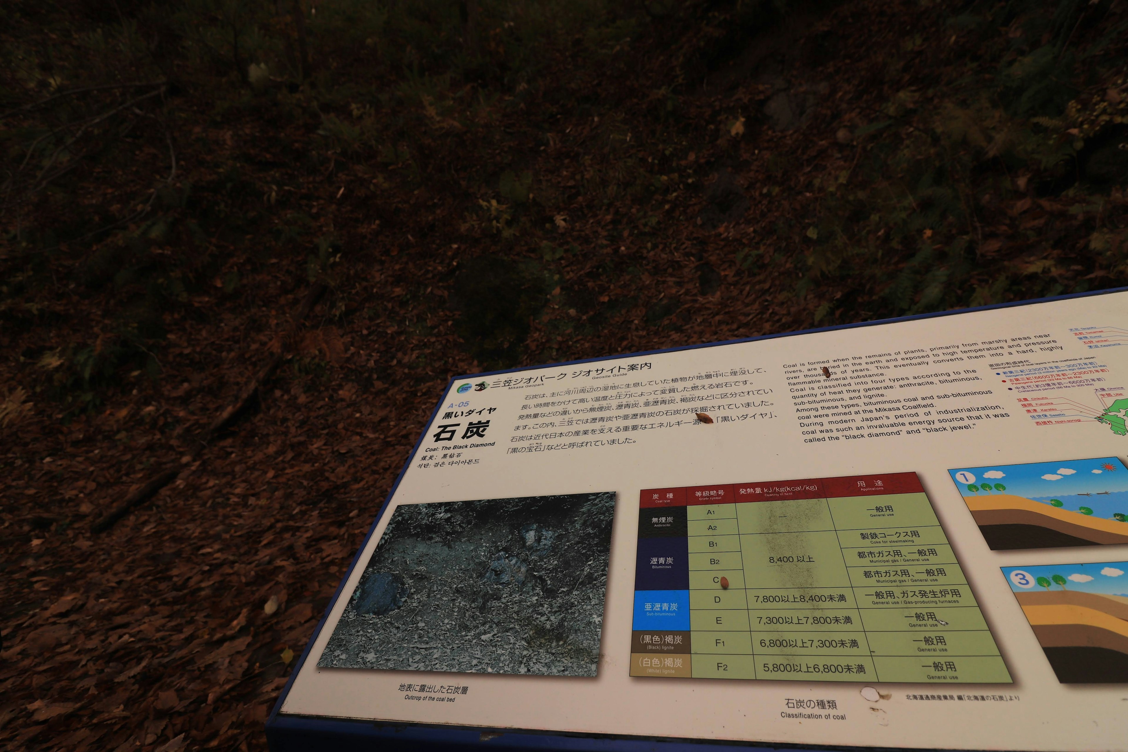 Informational panel in the forest displaying maps and data