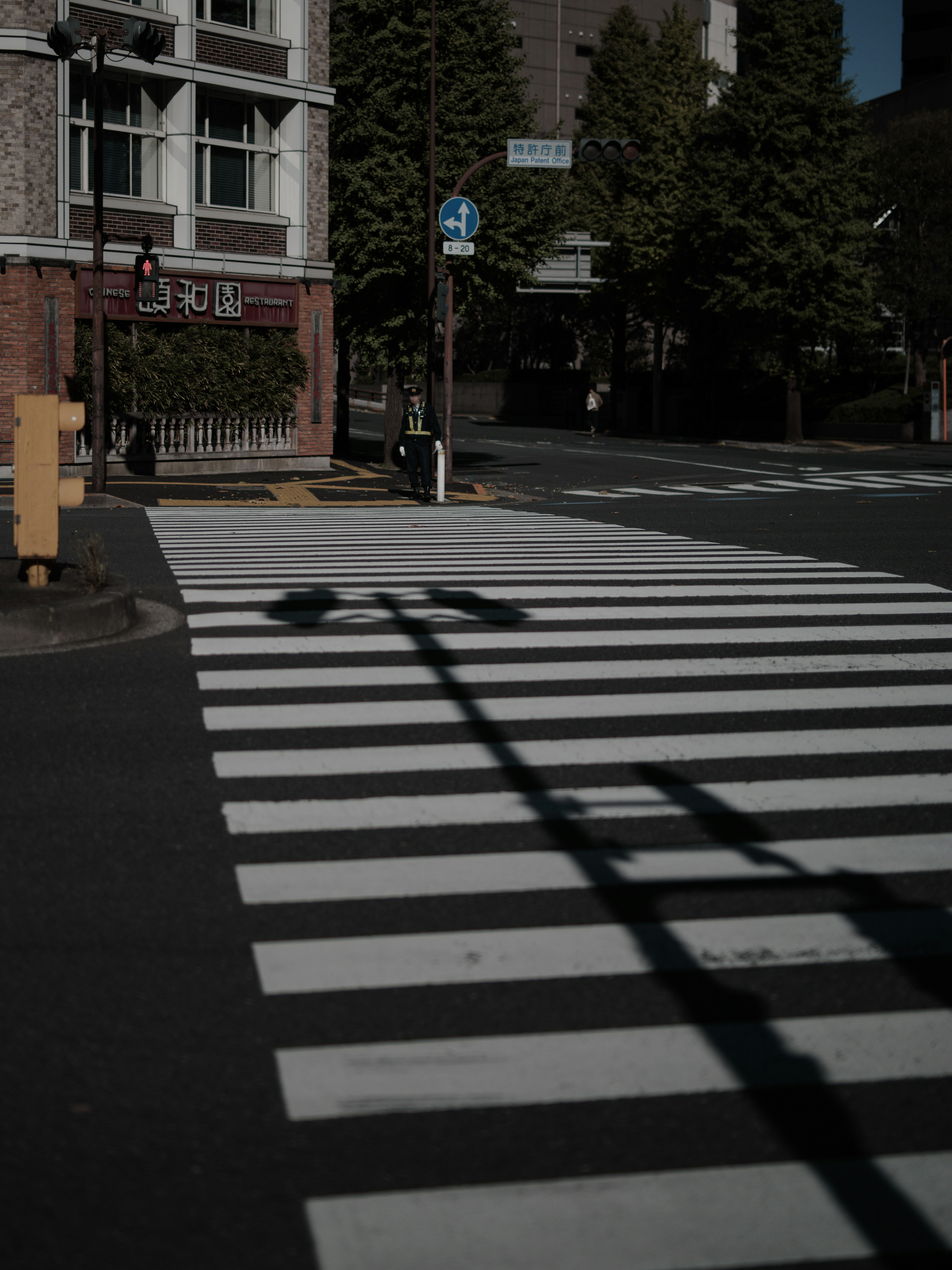 Paso peatonal con rayas blancas y sombras en una esquina de la ciudad