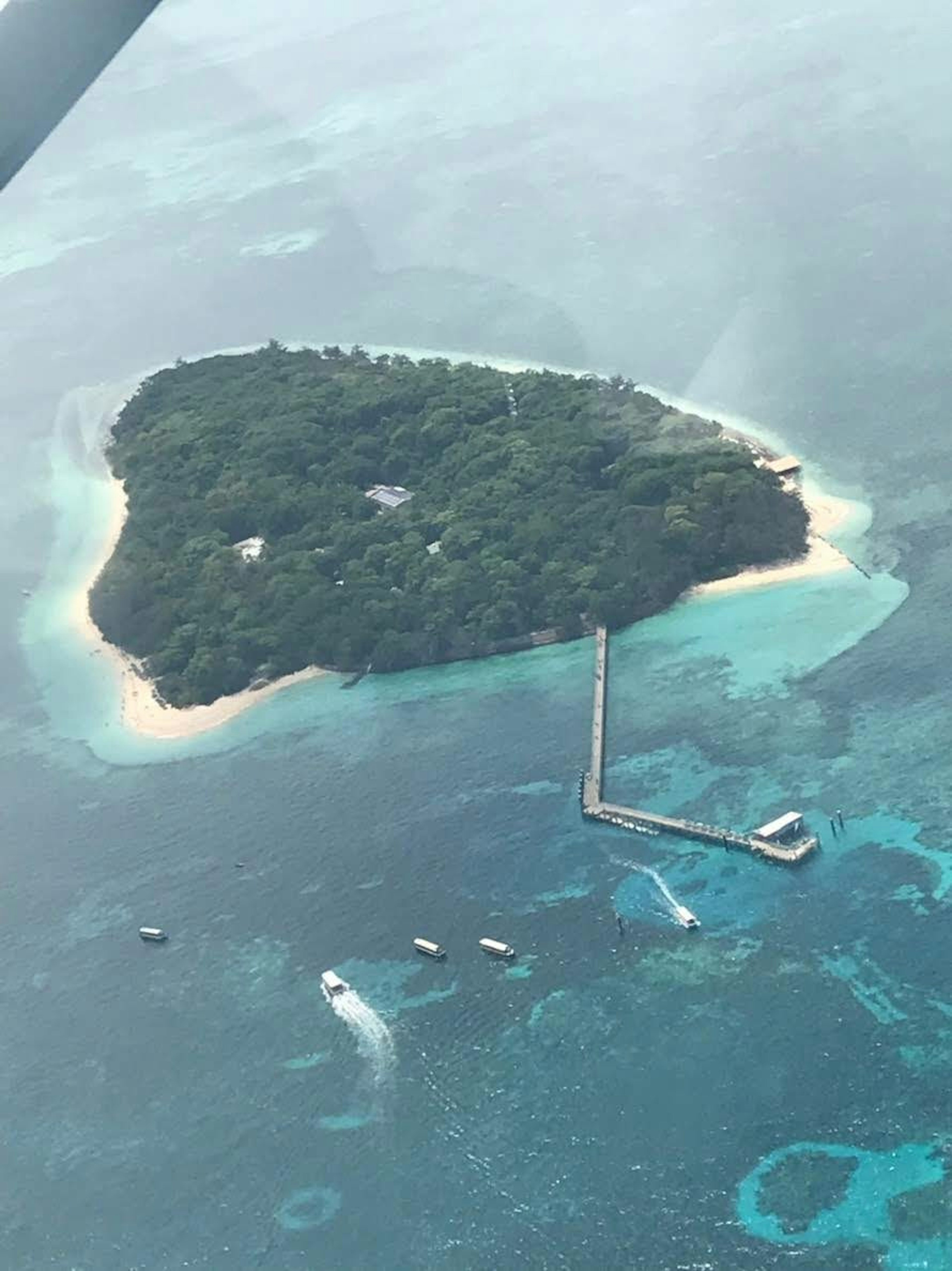 青い海に囲まれた緑豊かな小島と桟橋の上空写真