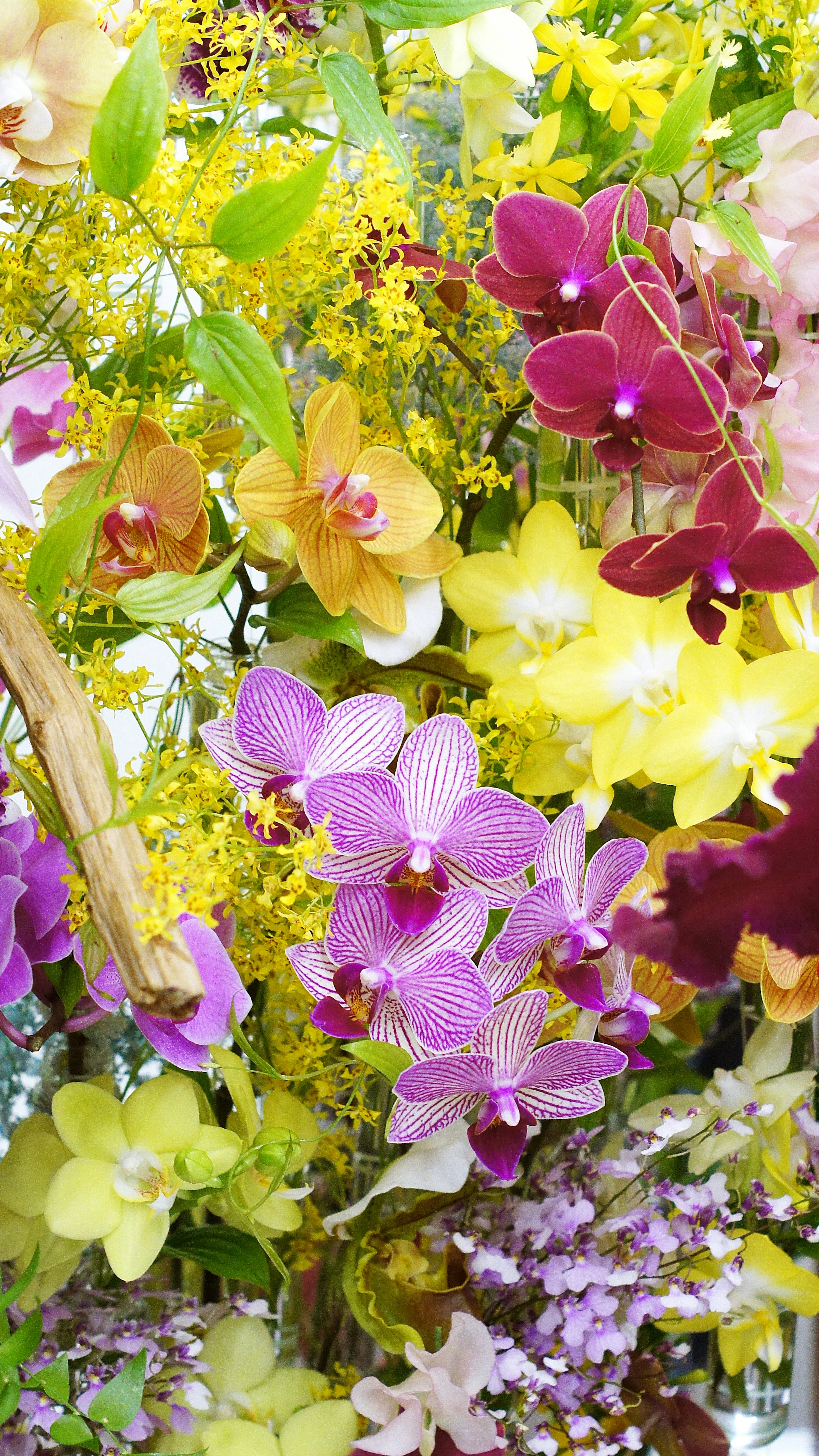 A beautiful bouquet of colorful flowers in various shades