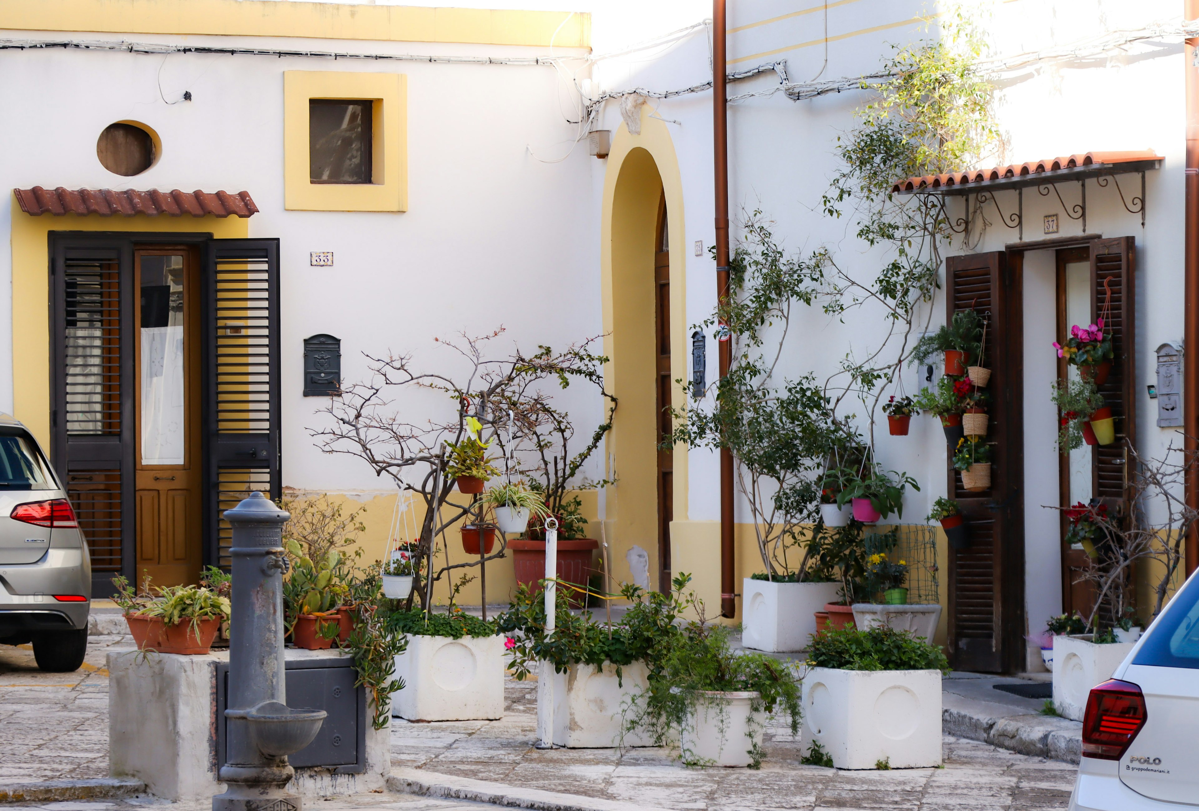 Colorful houses with vibrant plants in a quaint street