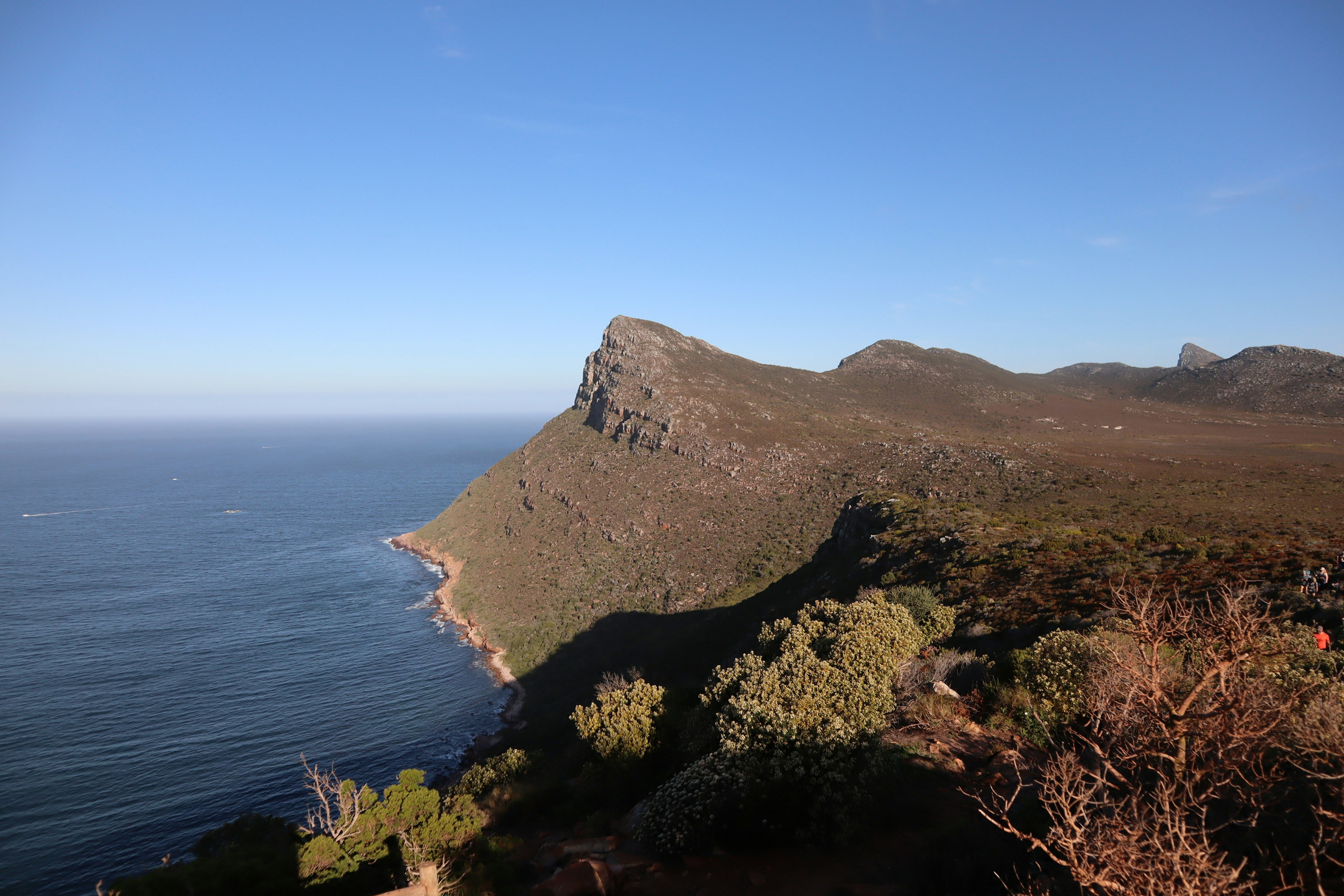 Pemandangan pegunungan pesisir dengan langit biru dan vegetasi hijau di Afrika Selatan