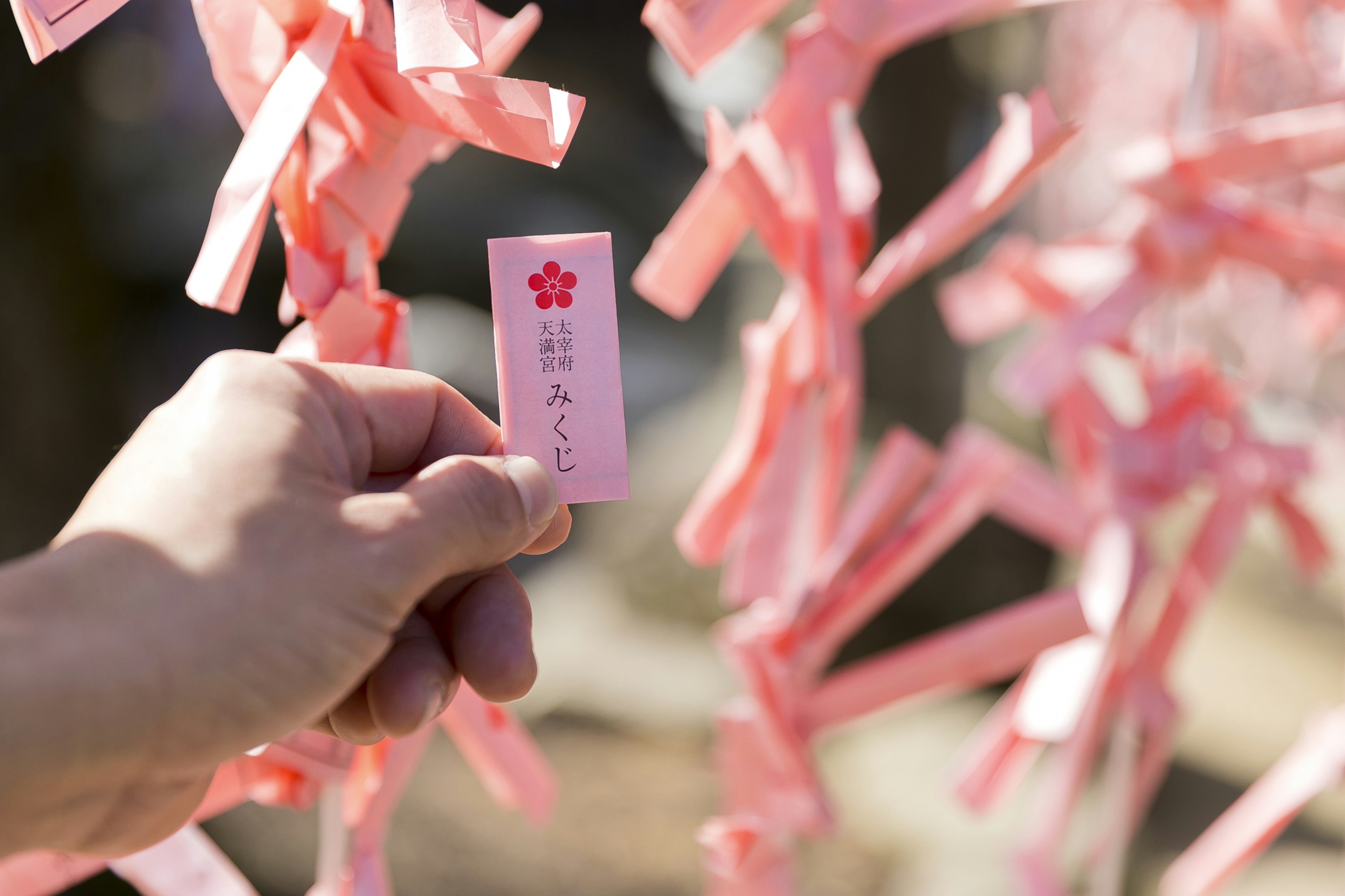 Eine Hand hält einen pinken Papierwunsch umgeben von vielen pinken Papierstreifen