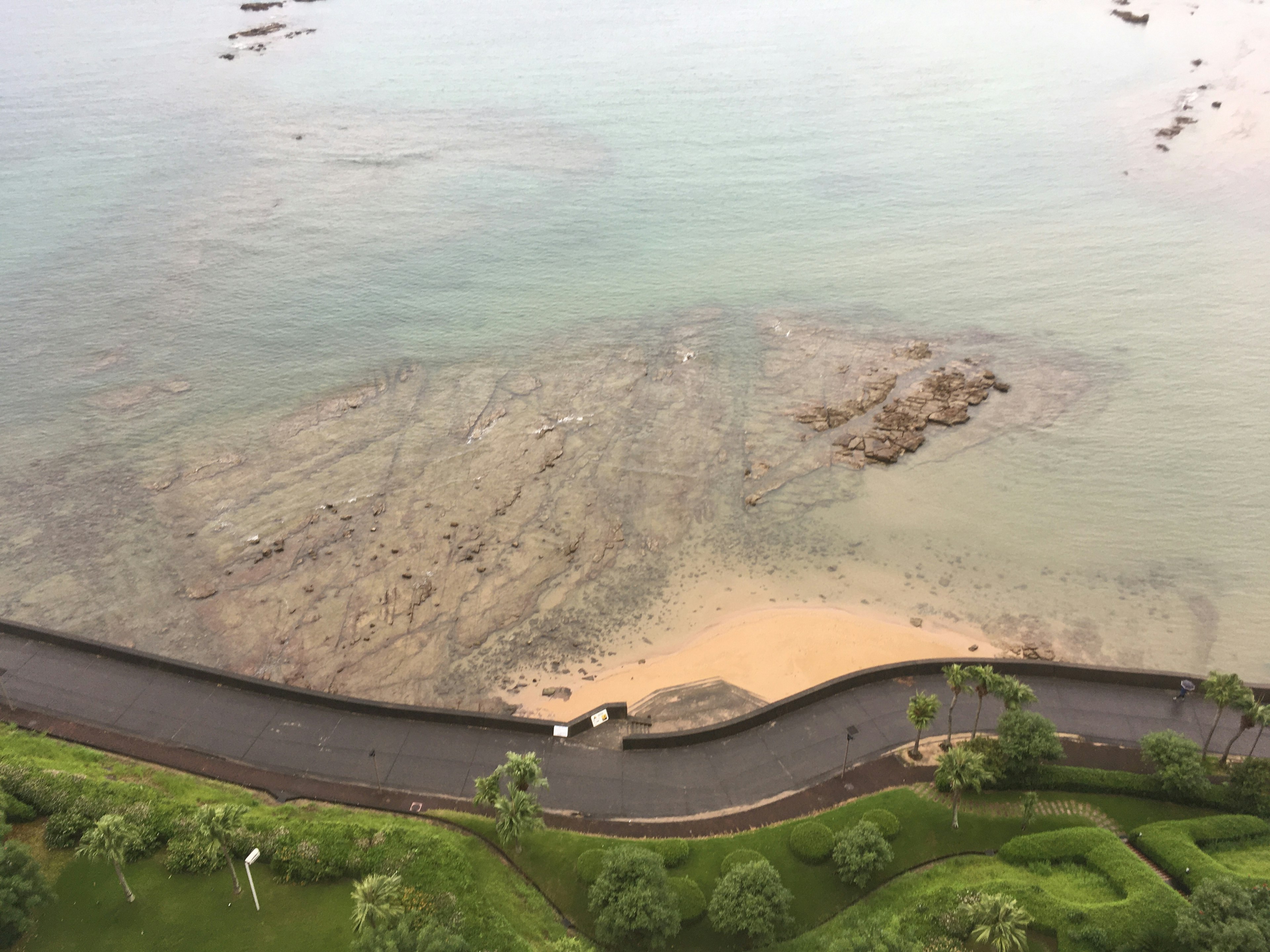 海と緑の公園が広がる風景 上からの眺め