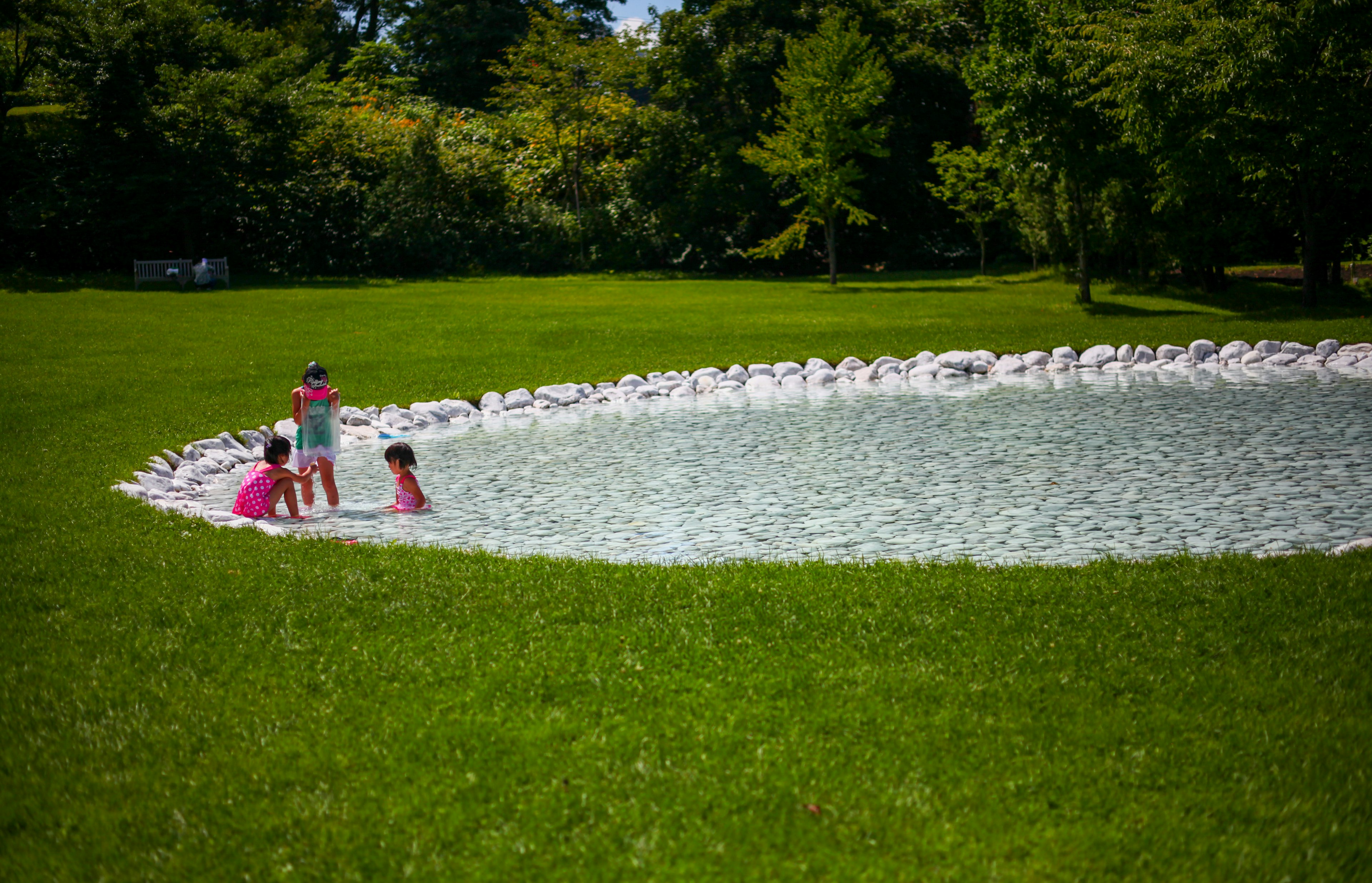 Anak-anak bermain di kolam di taman hijau