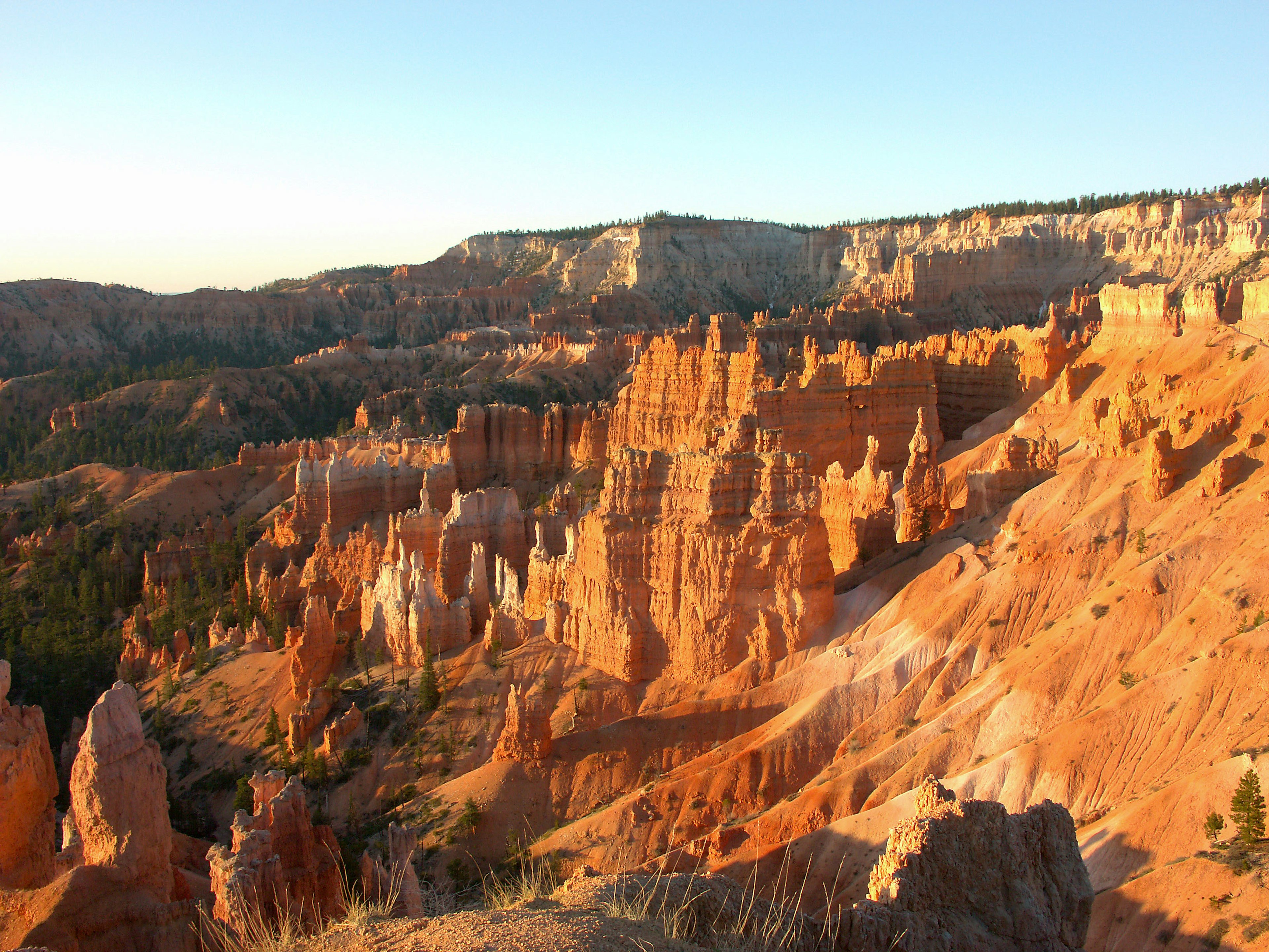 Cảnh quan Bryce Canyon với các hình thức đá màu cam và hoodoo