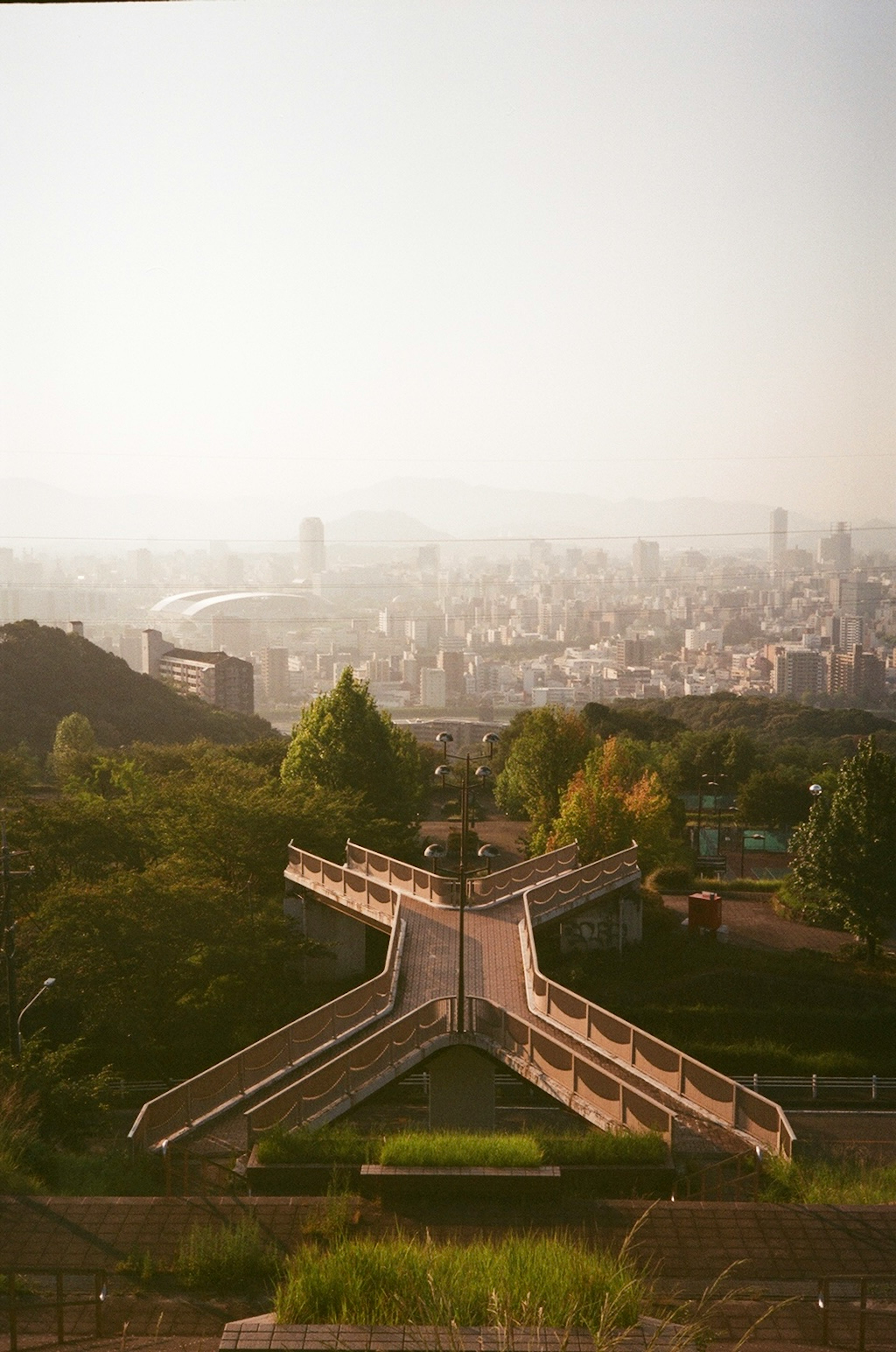 View of a cityscape from a park featuring a staircase