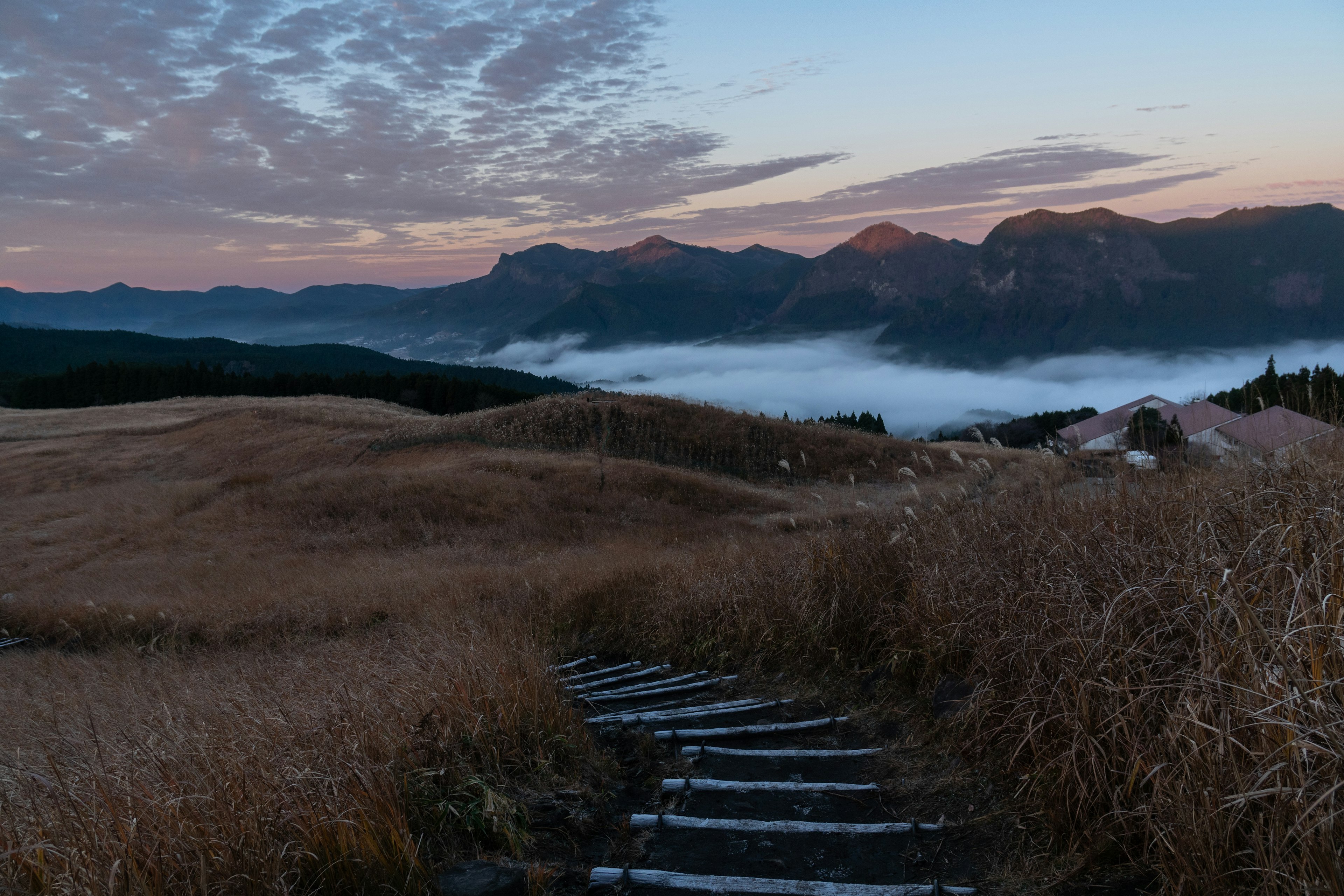 Un paesaggio con montagne avvolte nella nebbia e una pianura erbosa sotto un cielo dell'alba