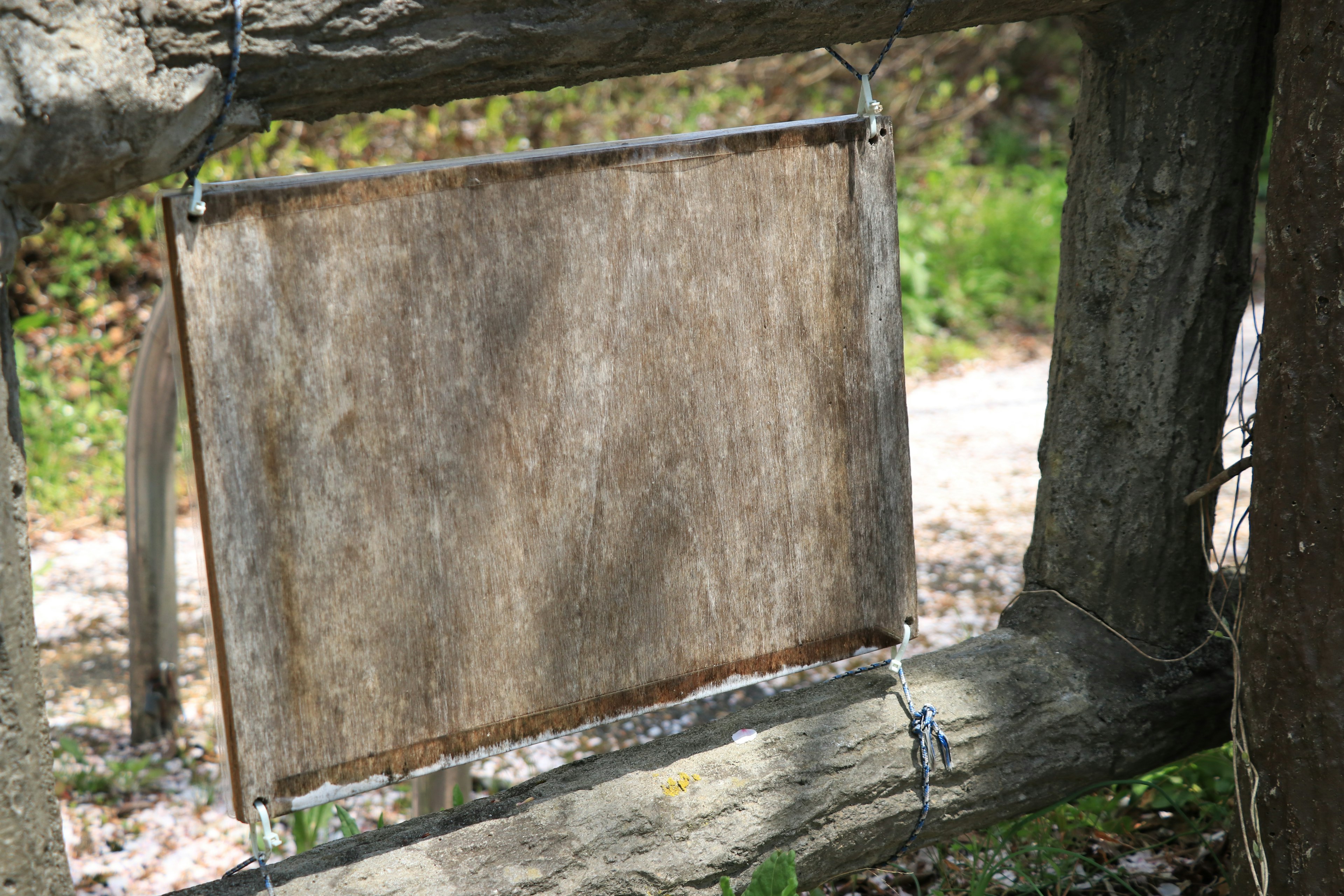 An old wooden sign hanging from a tree