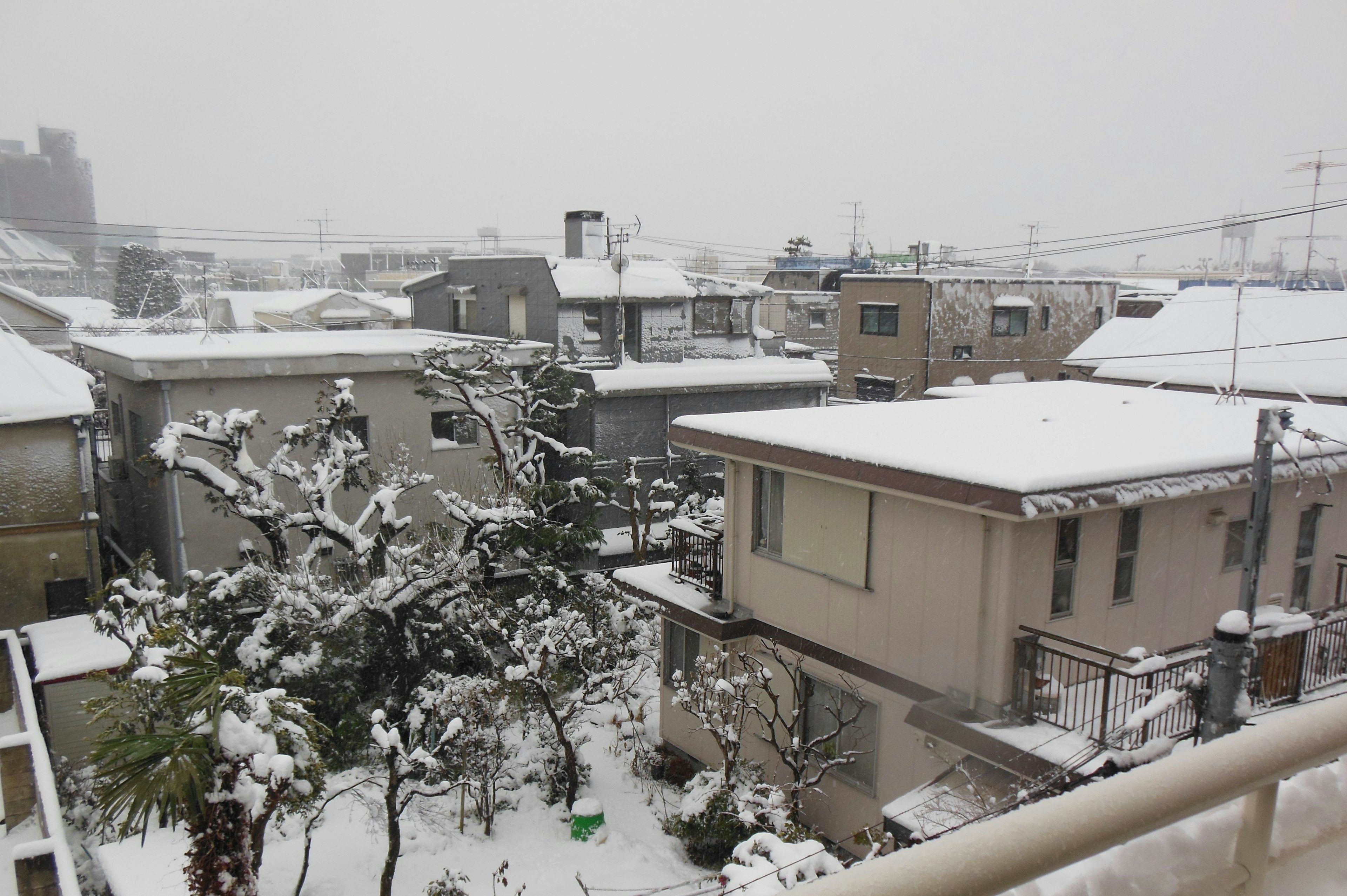 Area residenziale coperta di neve con tetti e alberi bianchi che creano un'atmosfera serena