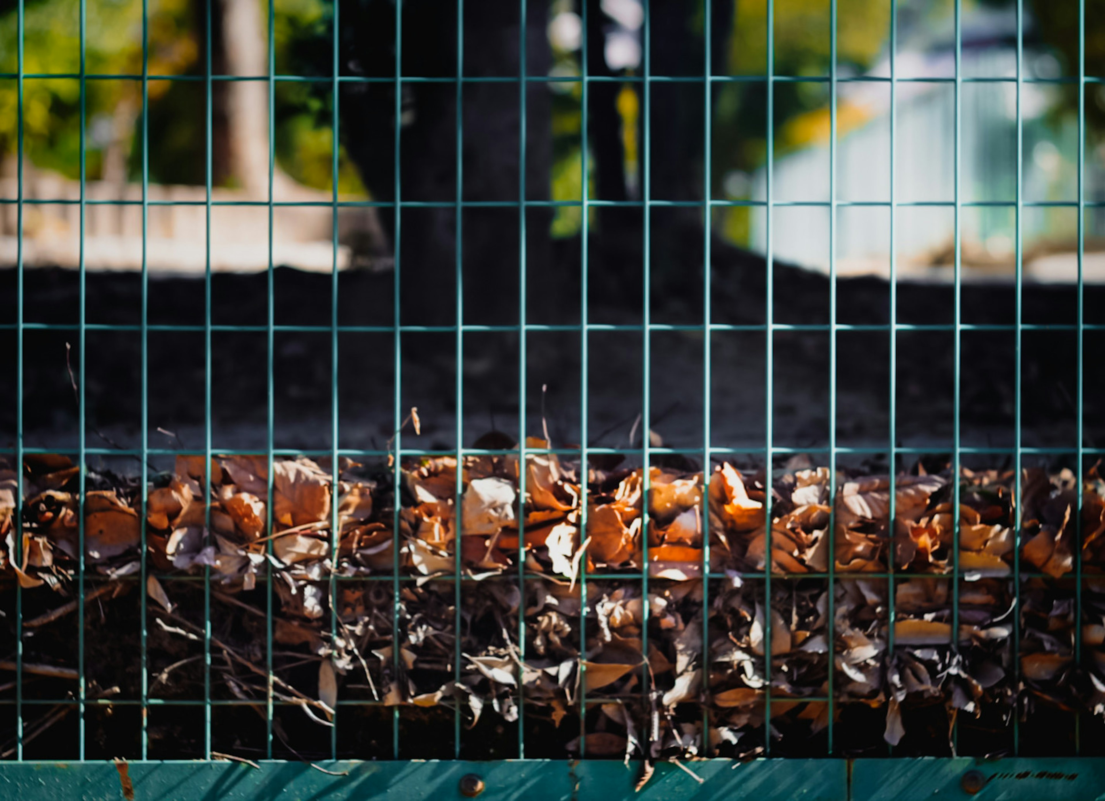 Una vista cercana de una cerca verde con hojas caídas debajo