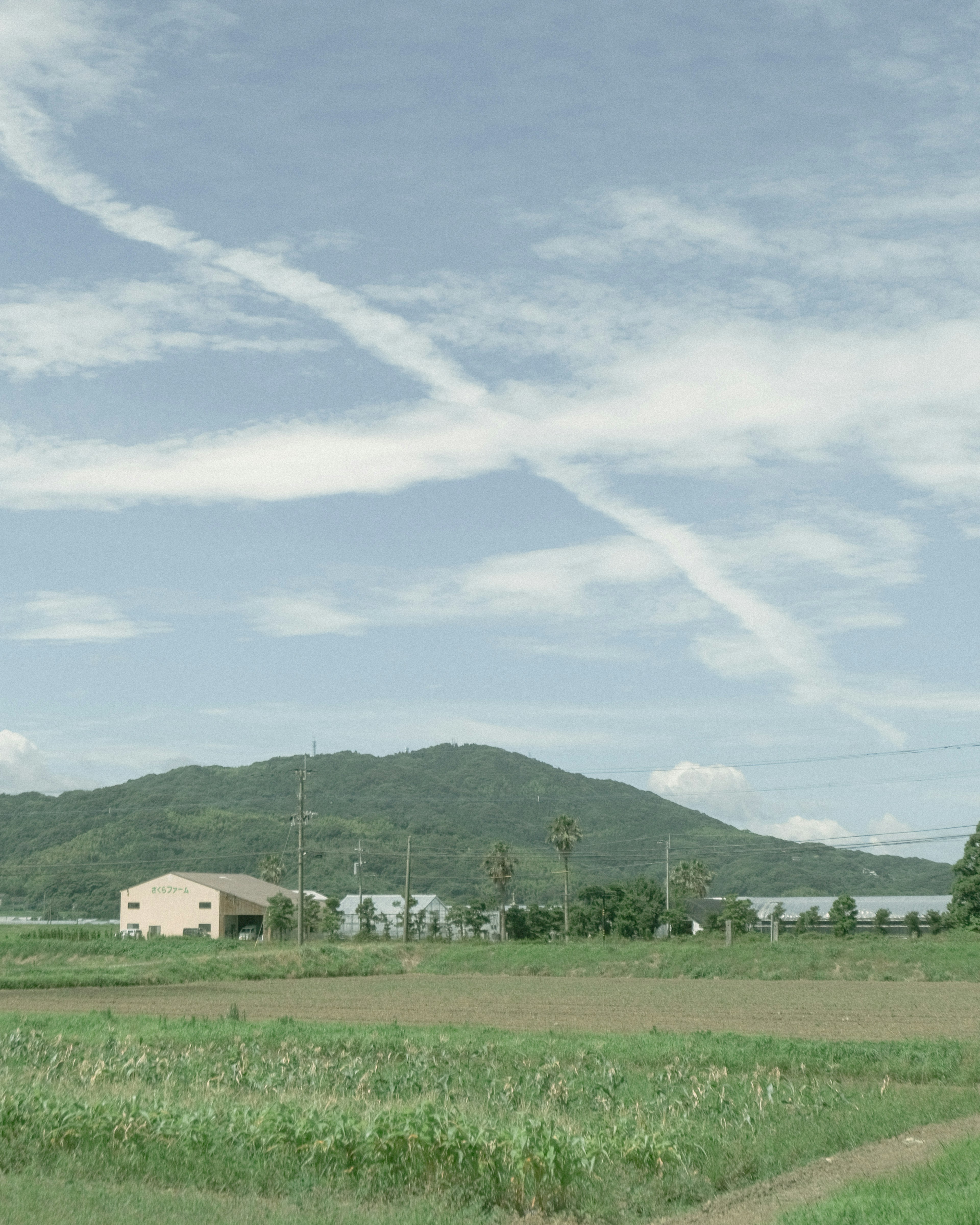 青空に白い雲と飛行機雲が広がる美しい風景 山と田んぼが見える