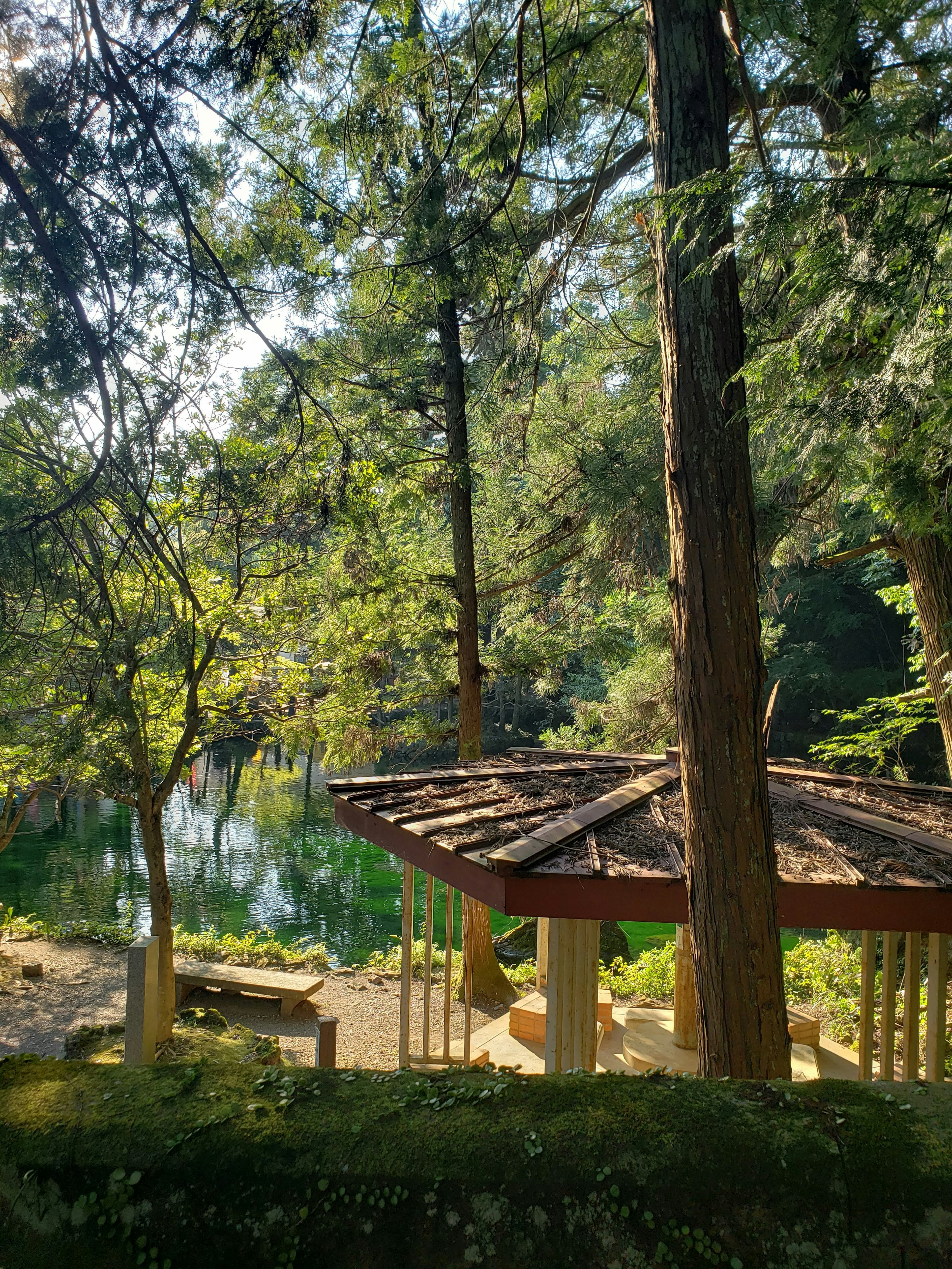 Una cabaña tranquila cerca de un lago sereno rodeado de exuberante vegetación