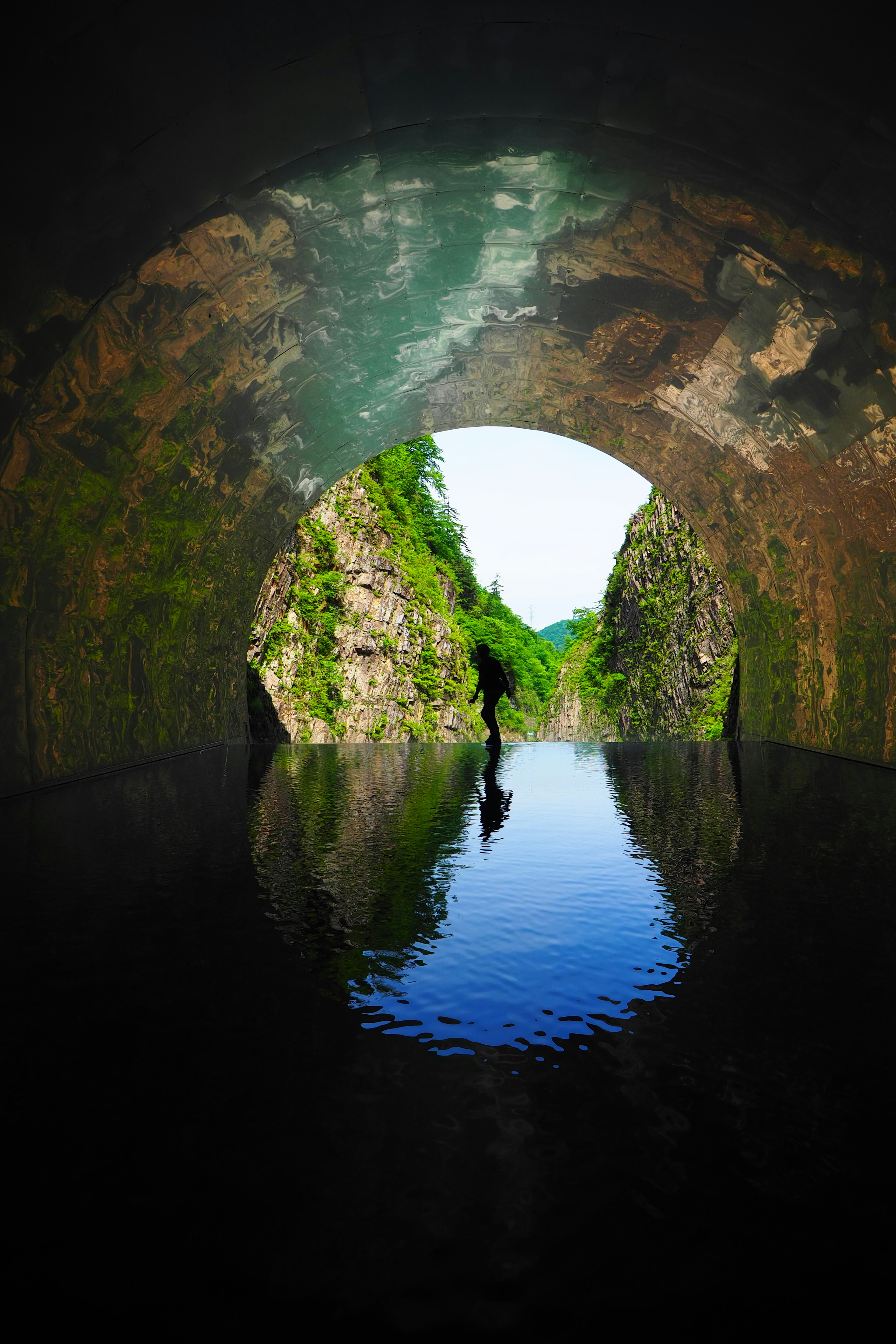 Interno di un tunnel a forma d'arco con riflesso di paesaggio verde sulla superficie dell'acqua