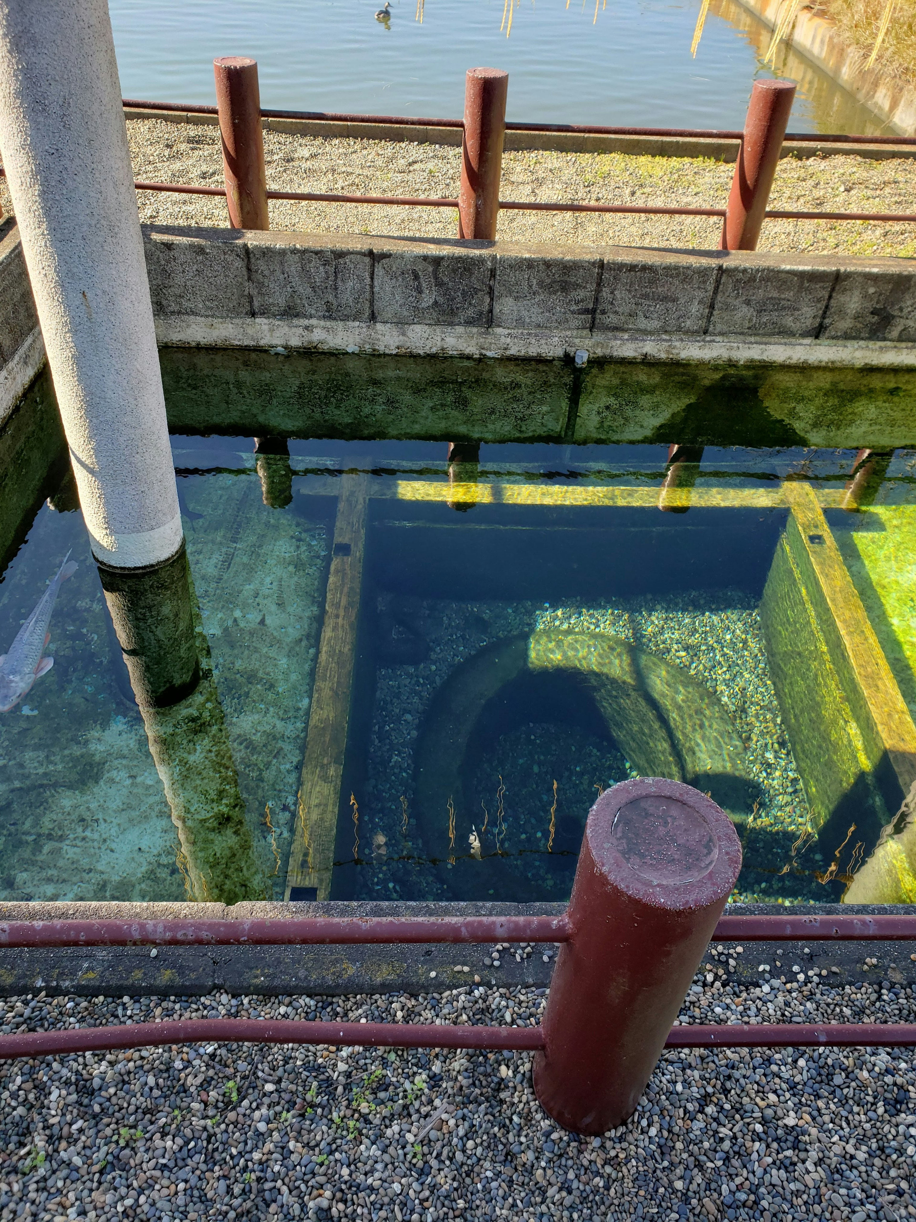 Underwater structure with clear water view