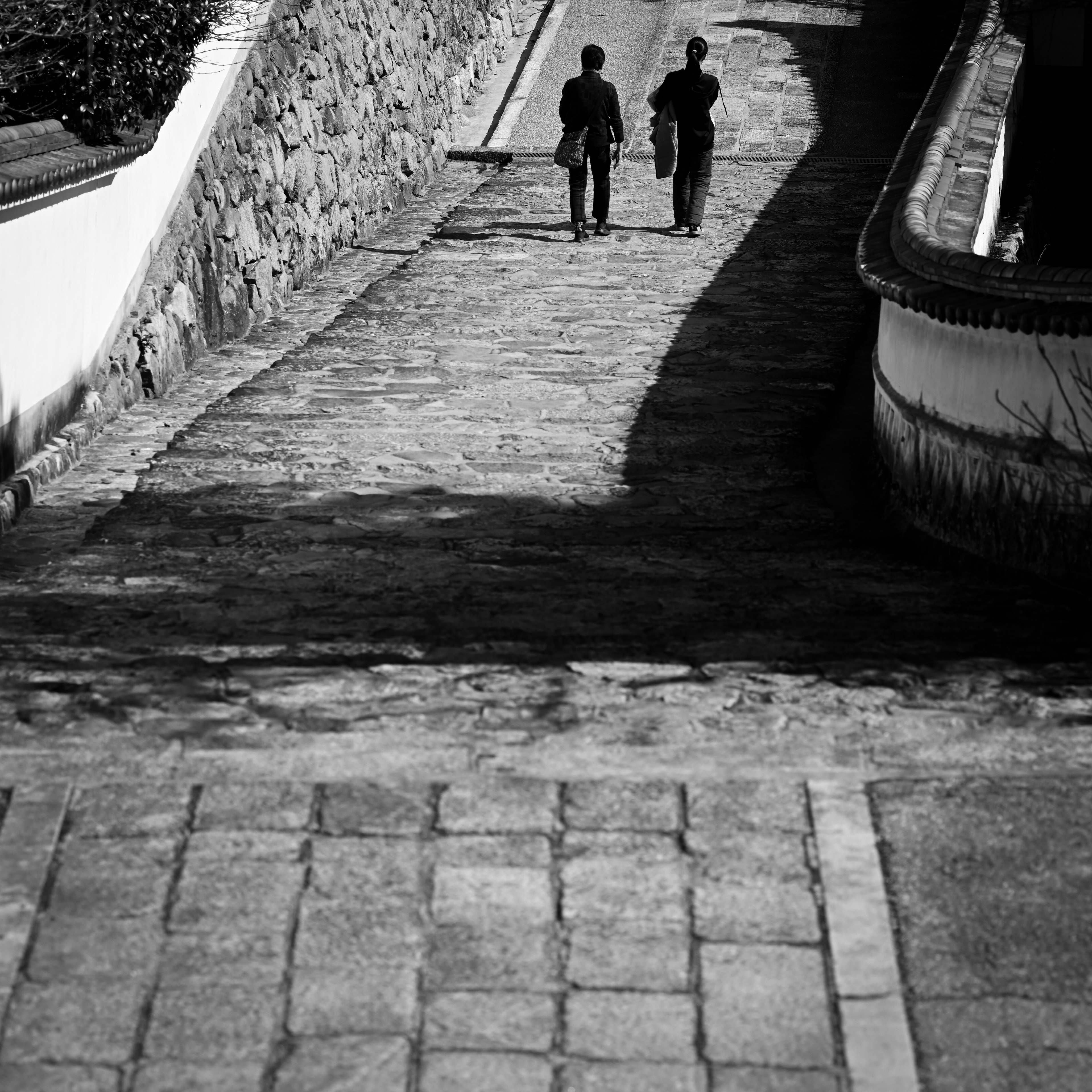 Two figures walking down a stone path in black and white