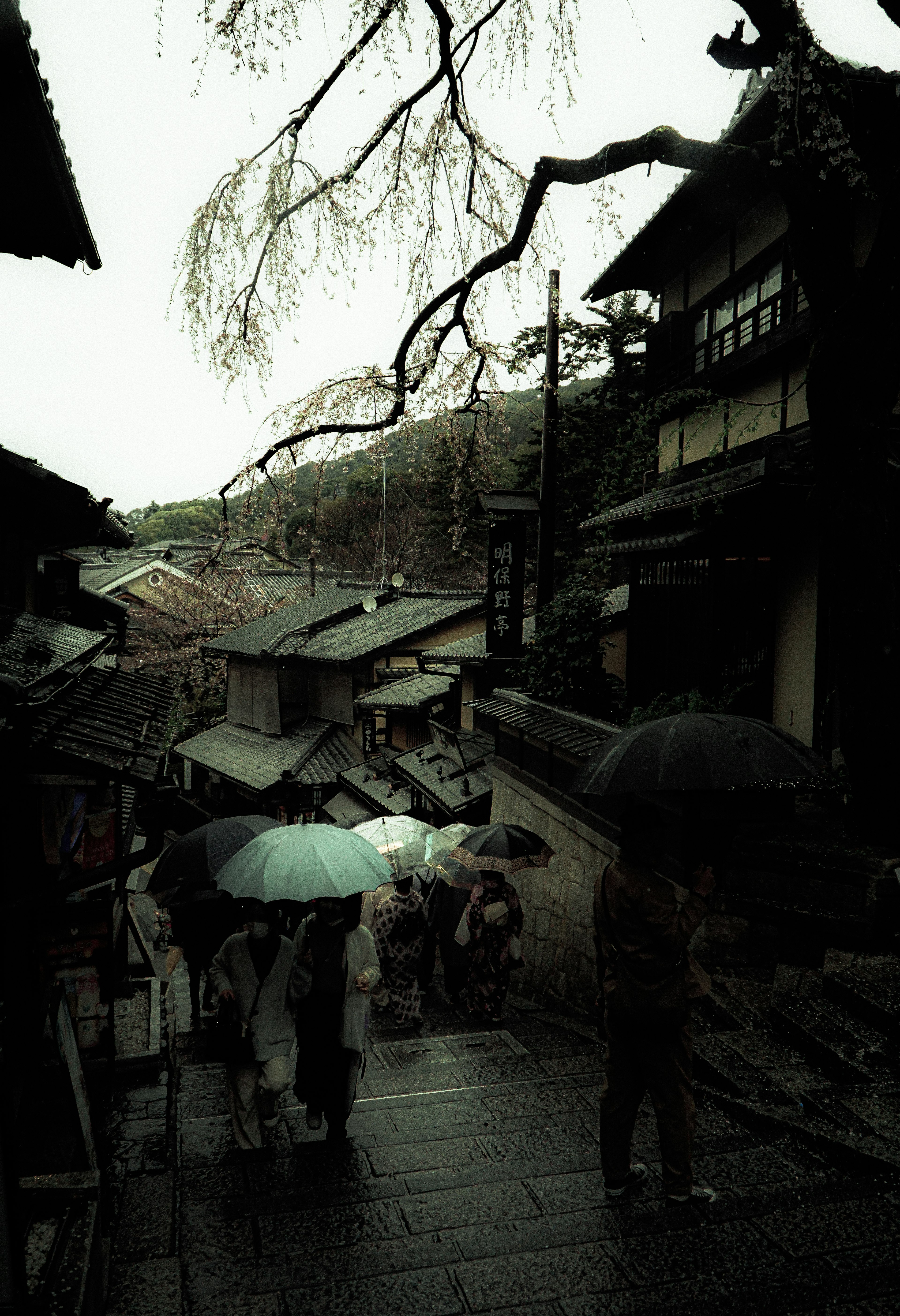 人們在狹窄的小路上走，手持雨傘，周圍是傳統建築和樹枝