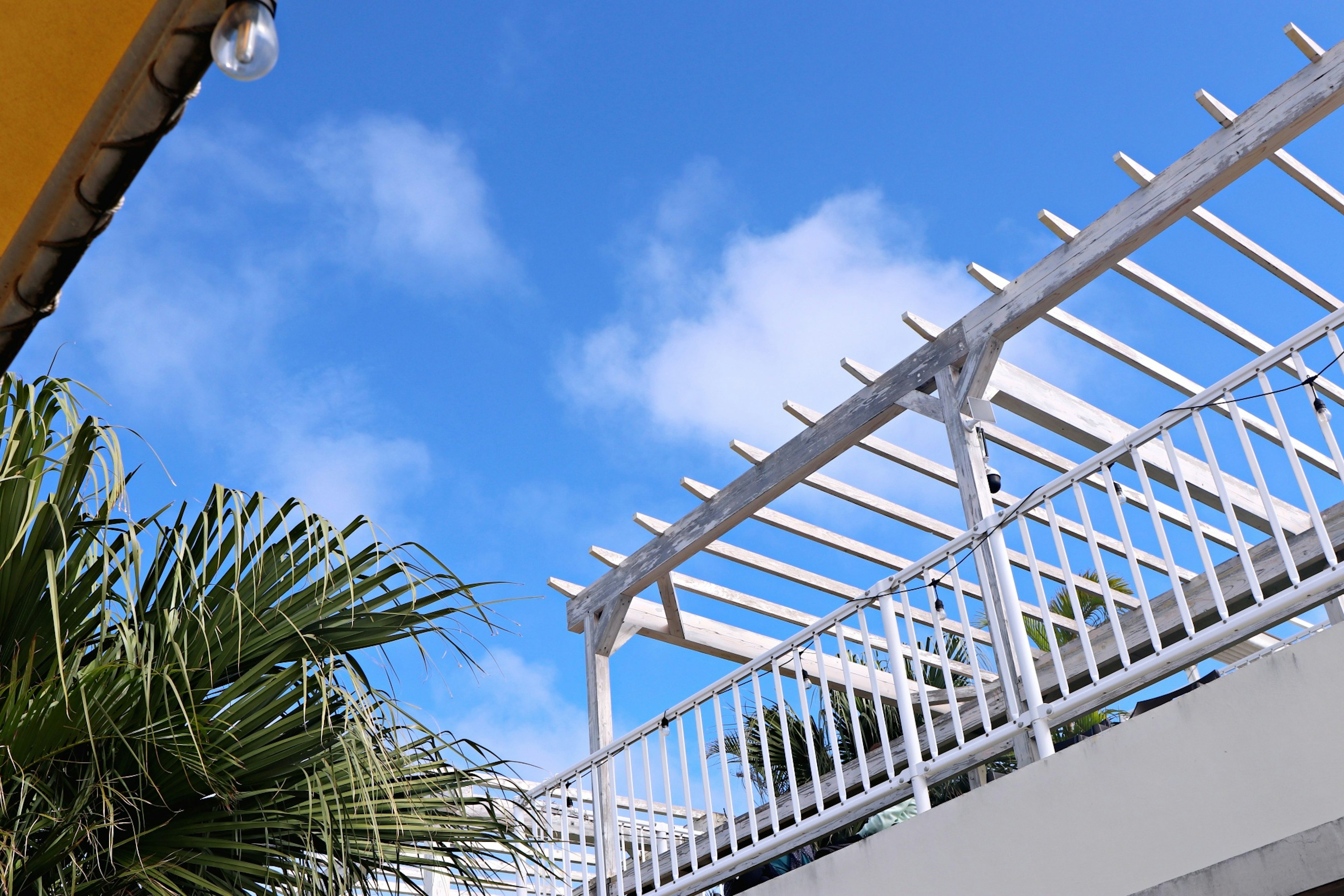 Une vue d'une pergola blanche et d'un palmier sous un ciel bleu