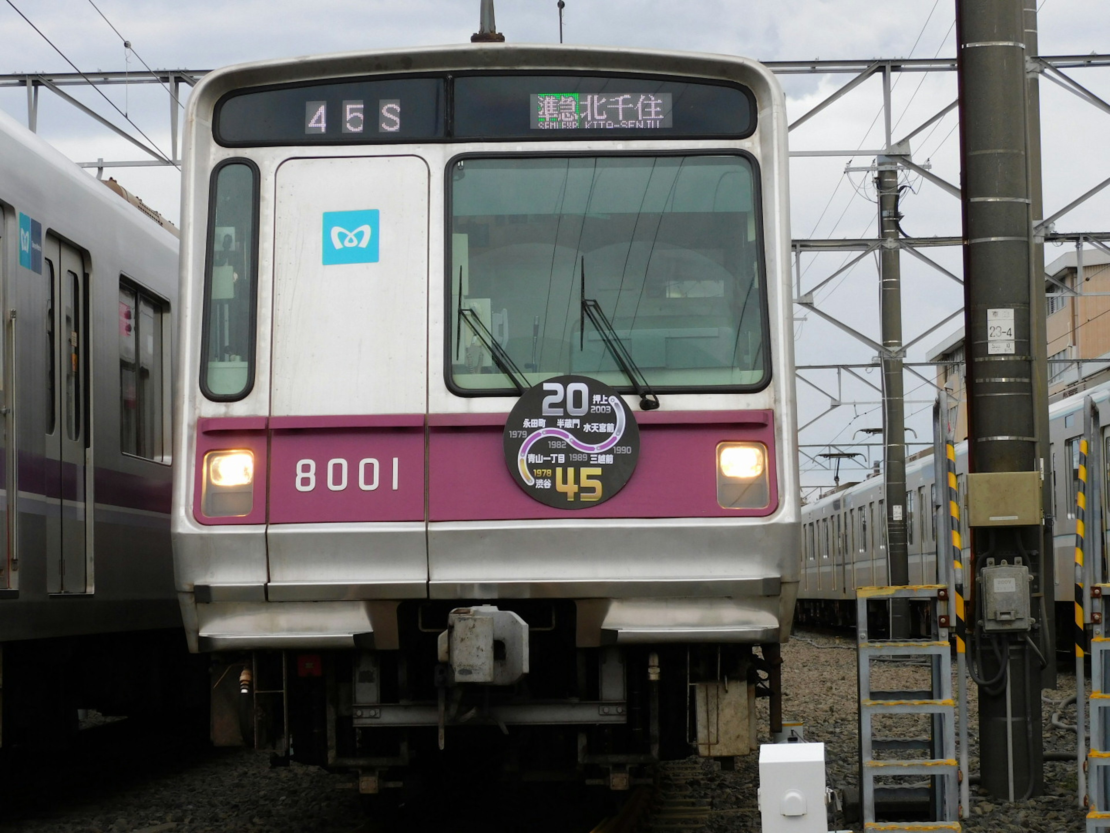 Train numéro 8001 arrêté sur les voies avec des lignes aériennes visibles