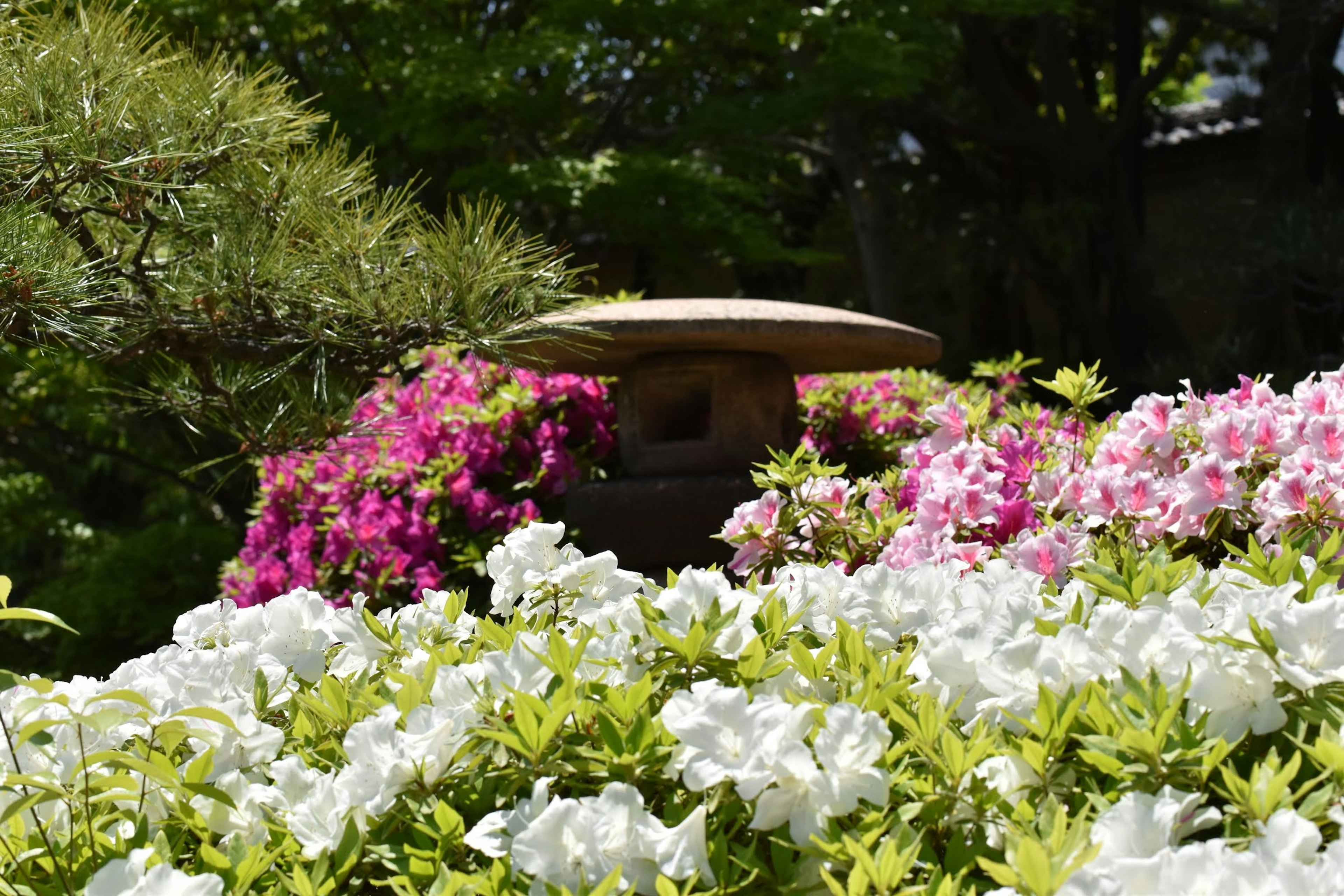 Colorful flowers and green leaves in a garden scene with a stone lantern in the background