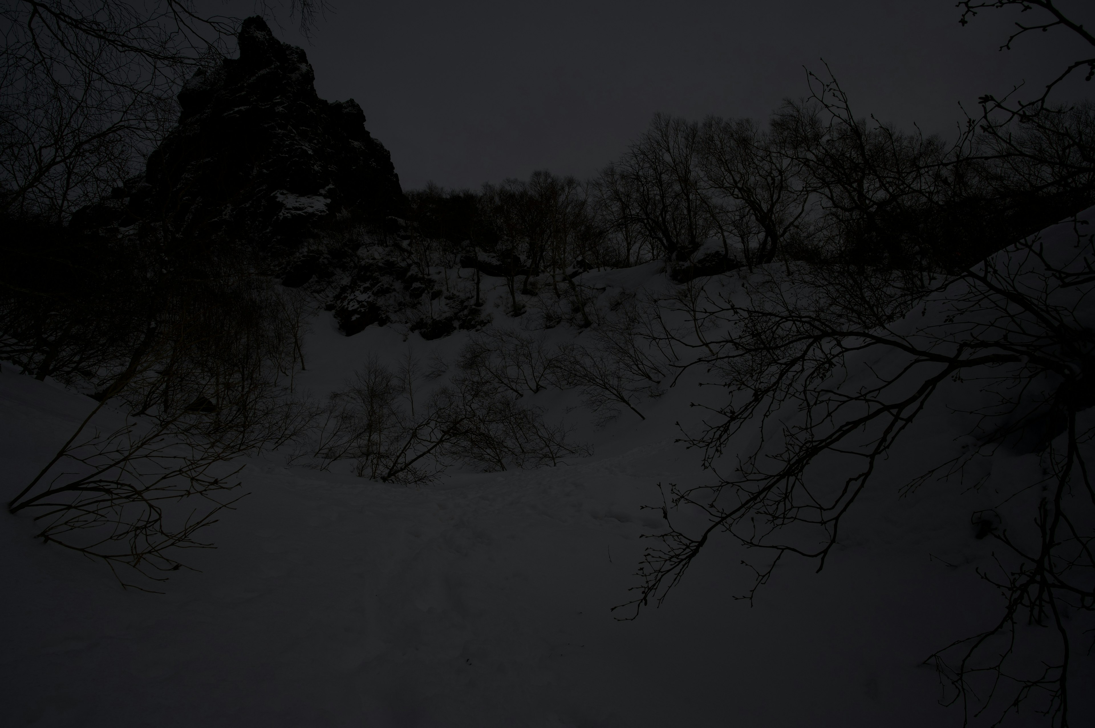 Dark landscape with snow-covered trees and rocks