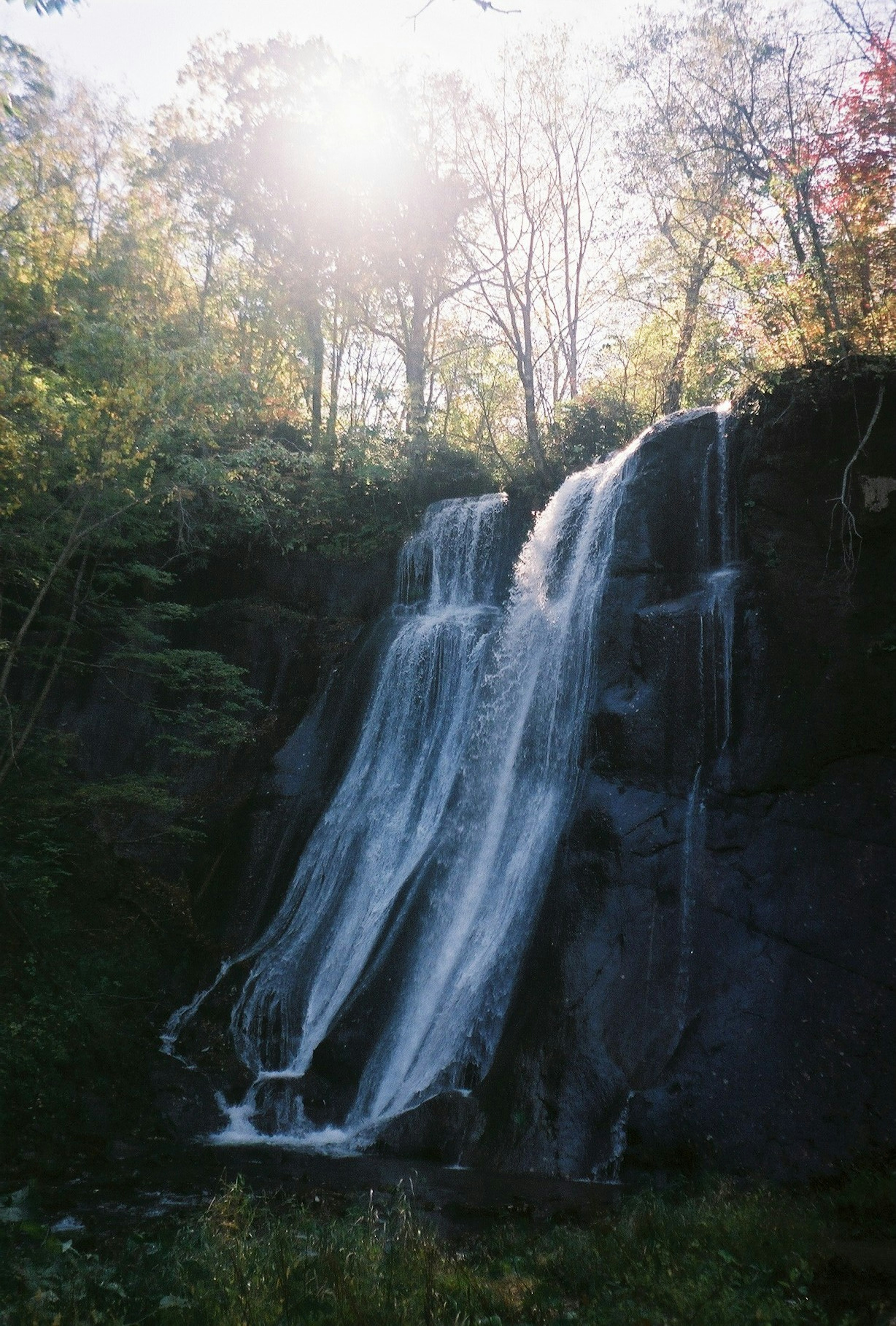 Chute d'eau tombant d'une falaise rocheuse entourée de verdure luxuriante et de lumière douce