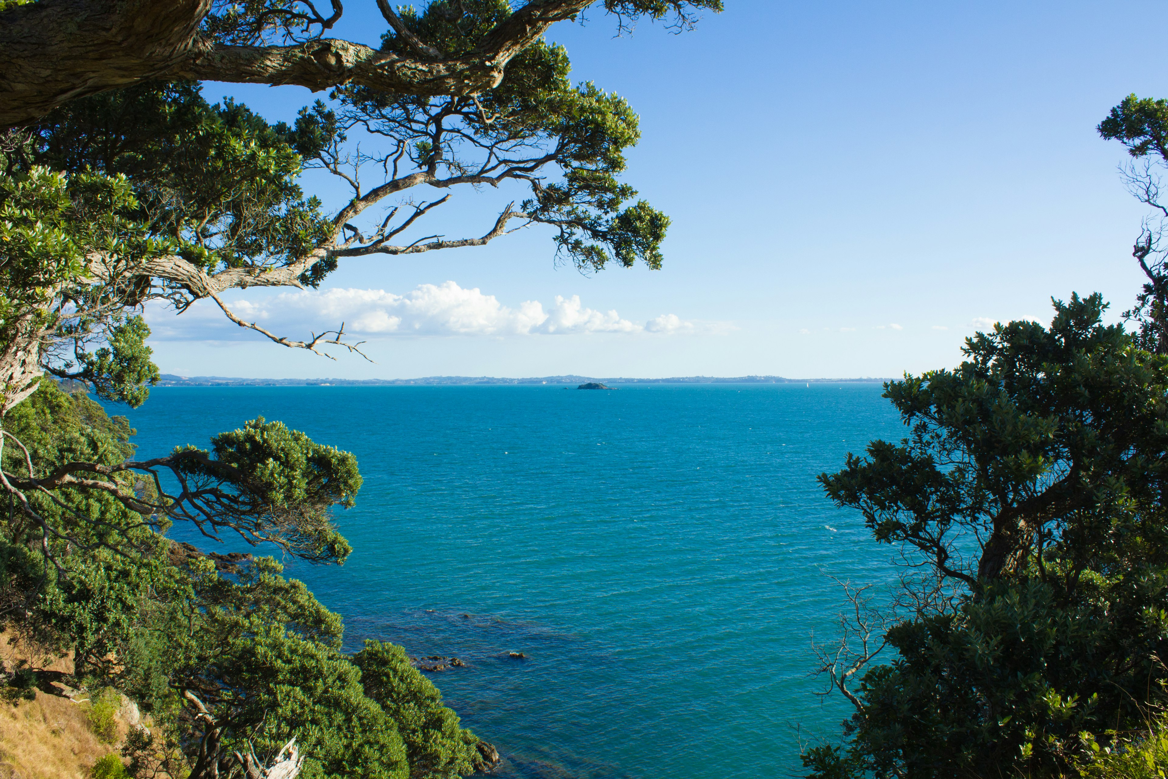 Scenic view of turquoise sea framed by lush trees