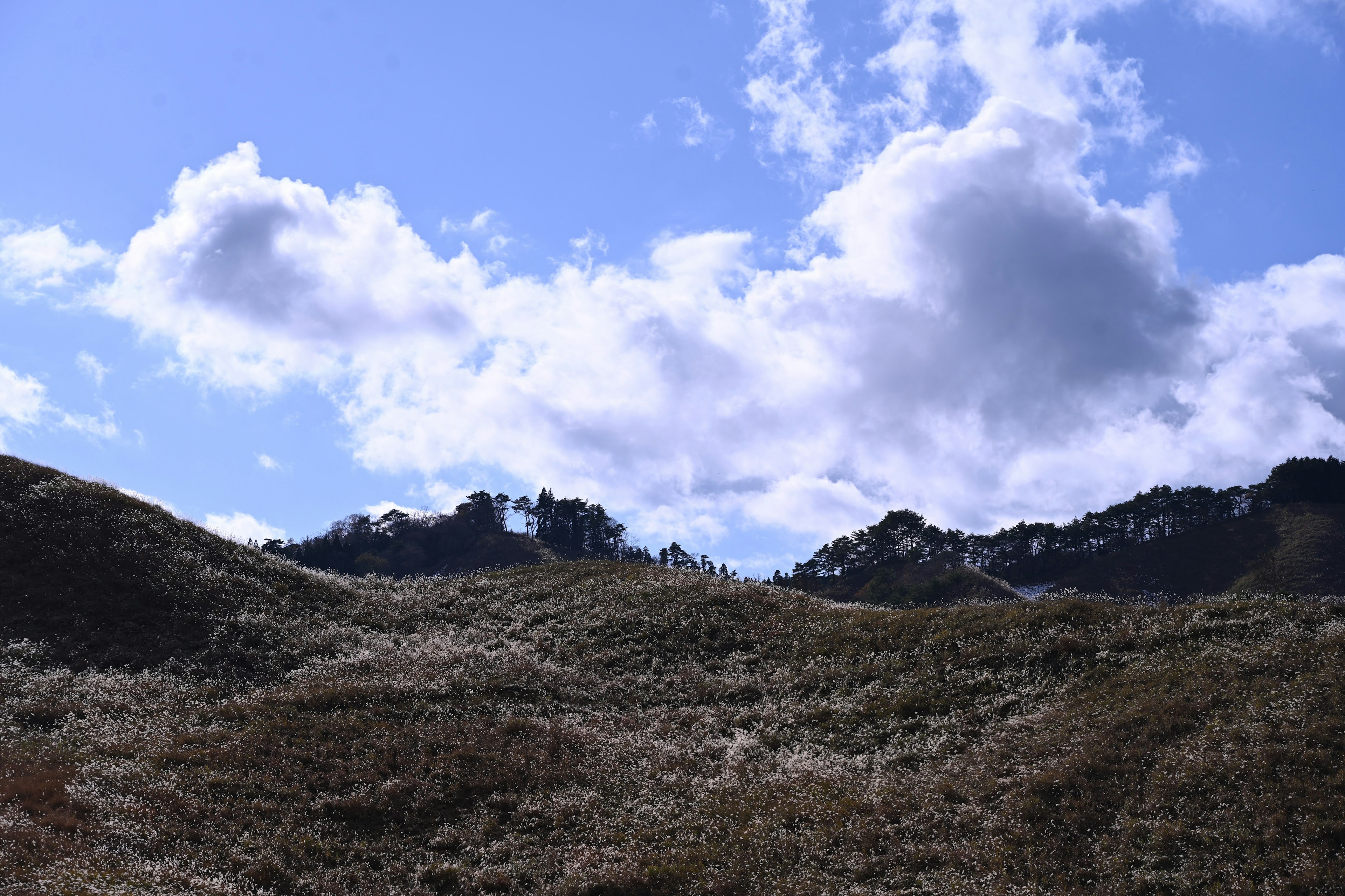 Collines verdoyantes sous un ciel bleu avec des nuages moelleux