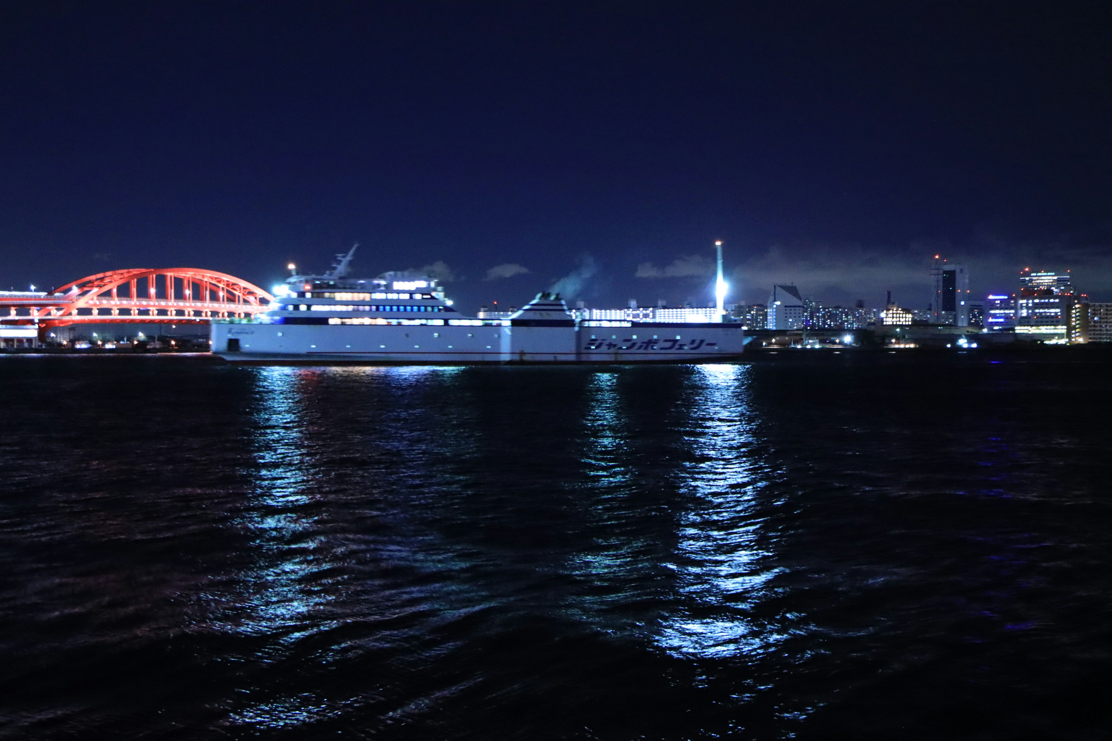 Ships illuminated at night with city skyline reflections