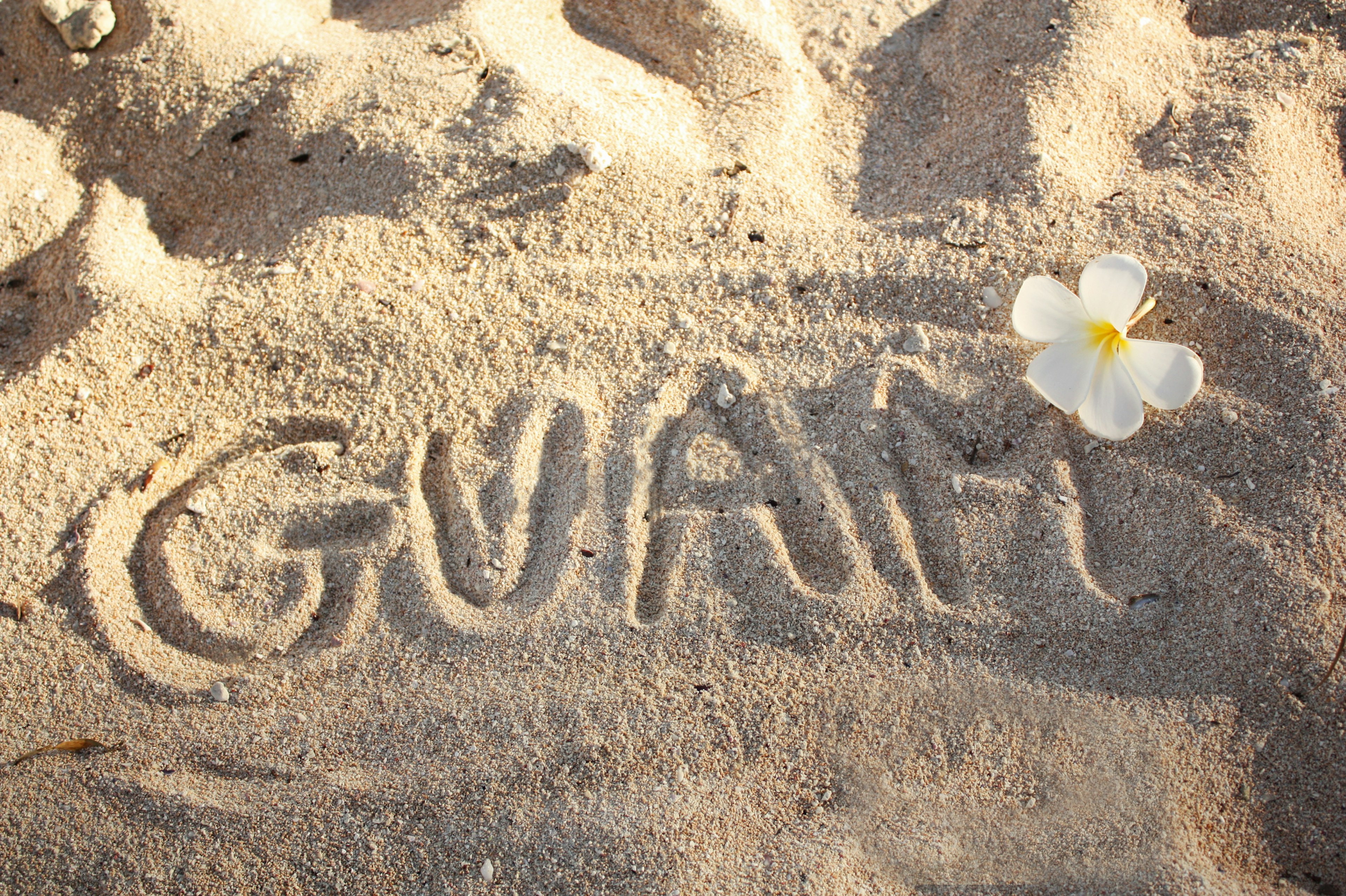 Das Wort GUAM im Sand geschrieben mit einer weißen Blume in der Nähe