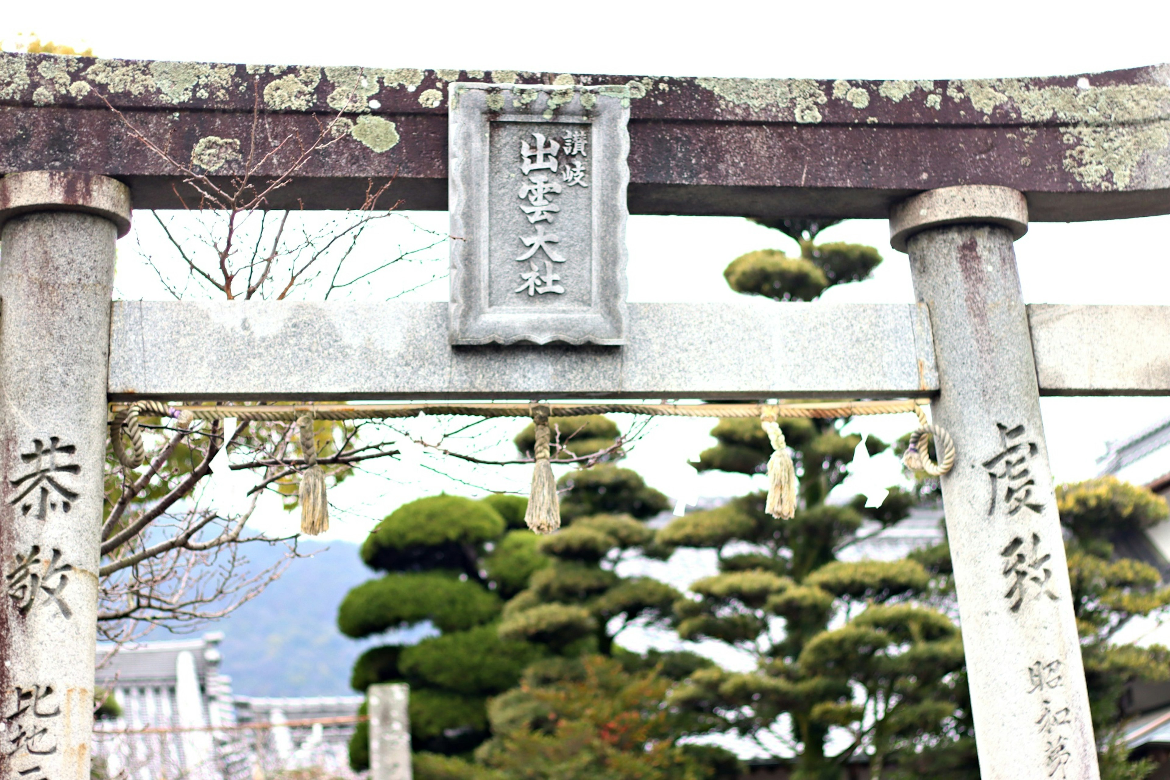 神社入口，有古老的鸟居和长满苔藓的石碑