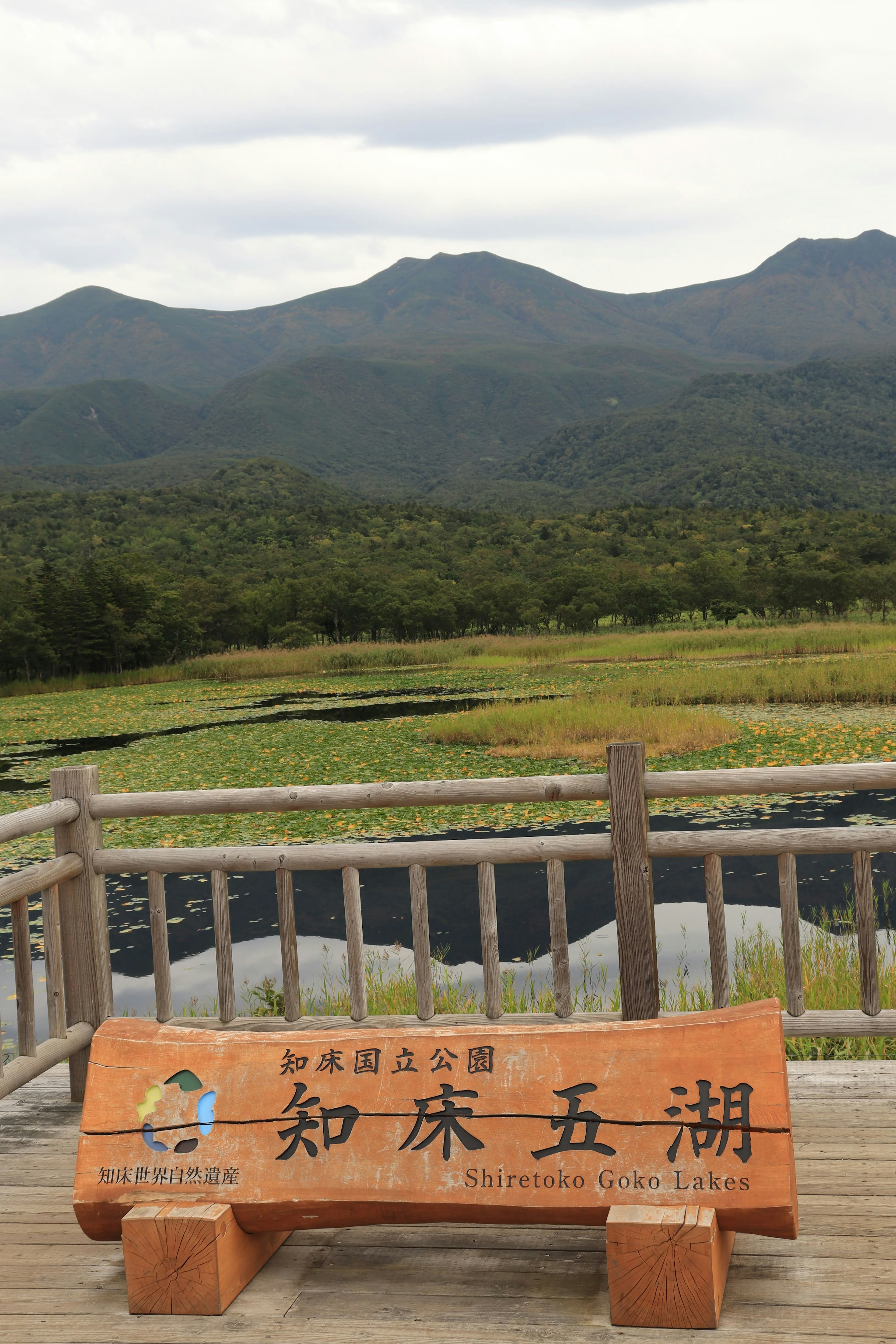 知床五湖的山脉和湿地的风景