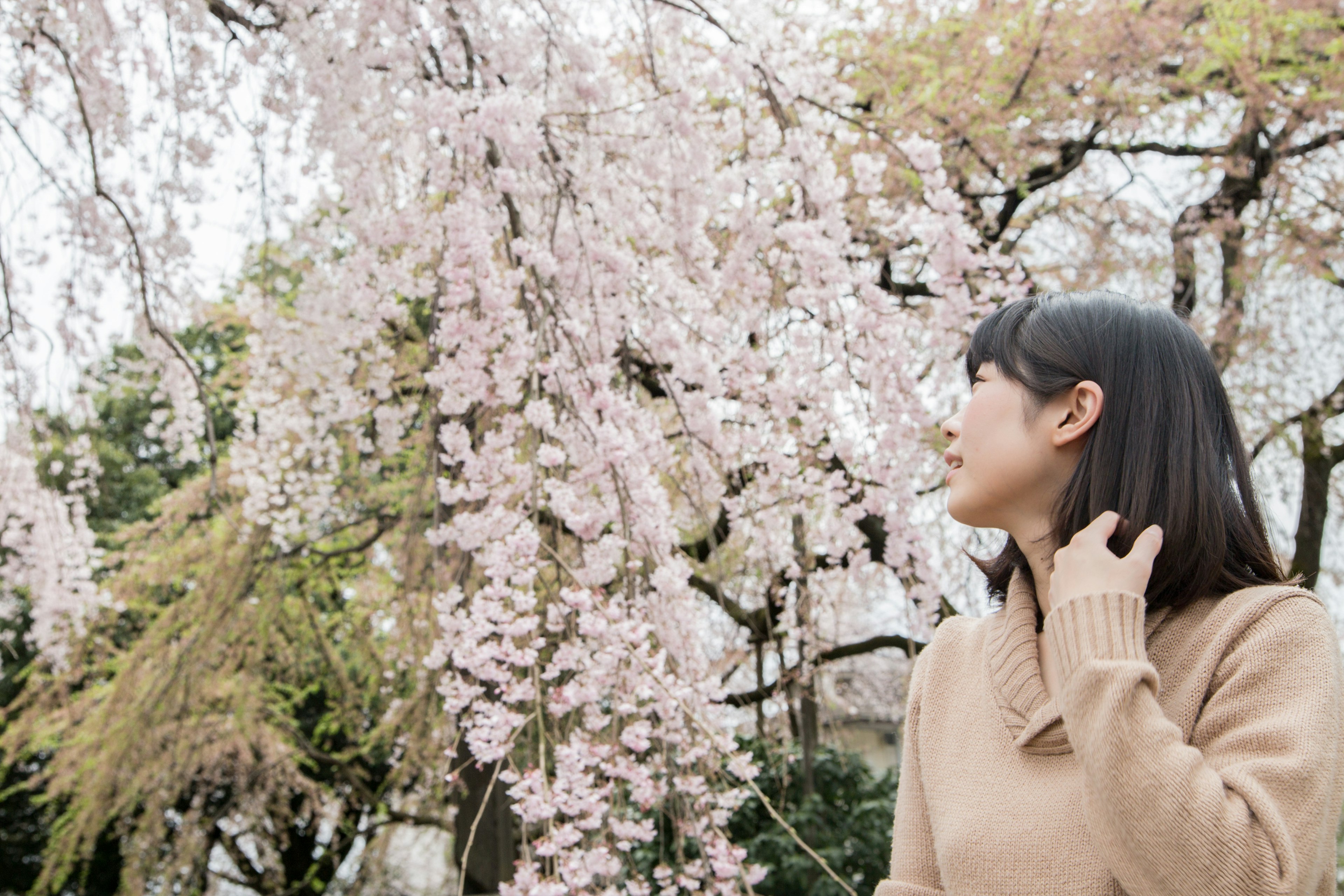 Una mujer sonriendo mientras mira hacia arriba debajo de un árbol de cerezo en flor